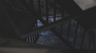A dark and moody staircase with metal bars casting shadows. The dim lighting and shadowy elements suggest a mysterious or neglected atmosphere. The floor and walls appear worn and textured, enhancing the eerie feeling.