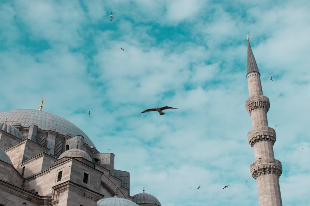 pássaros voando acima da mesquita durante o dia