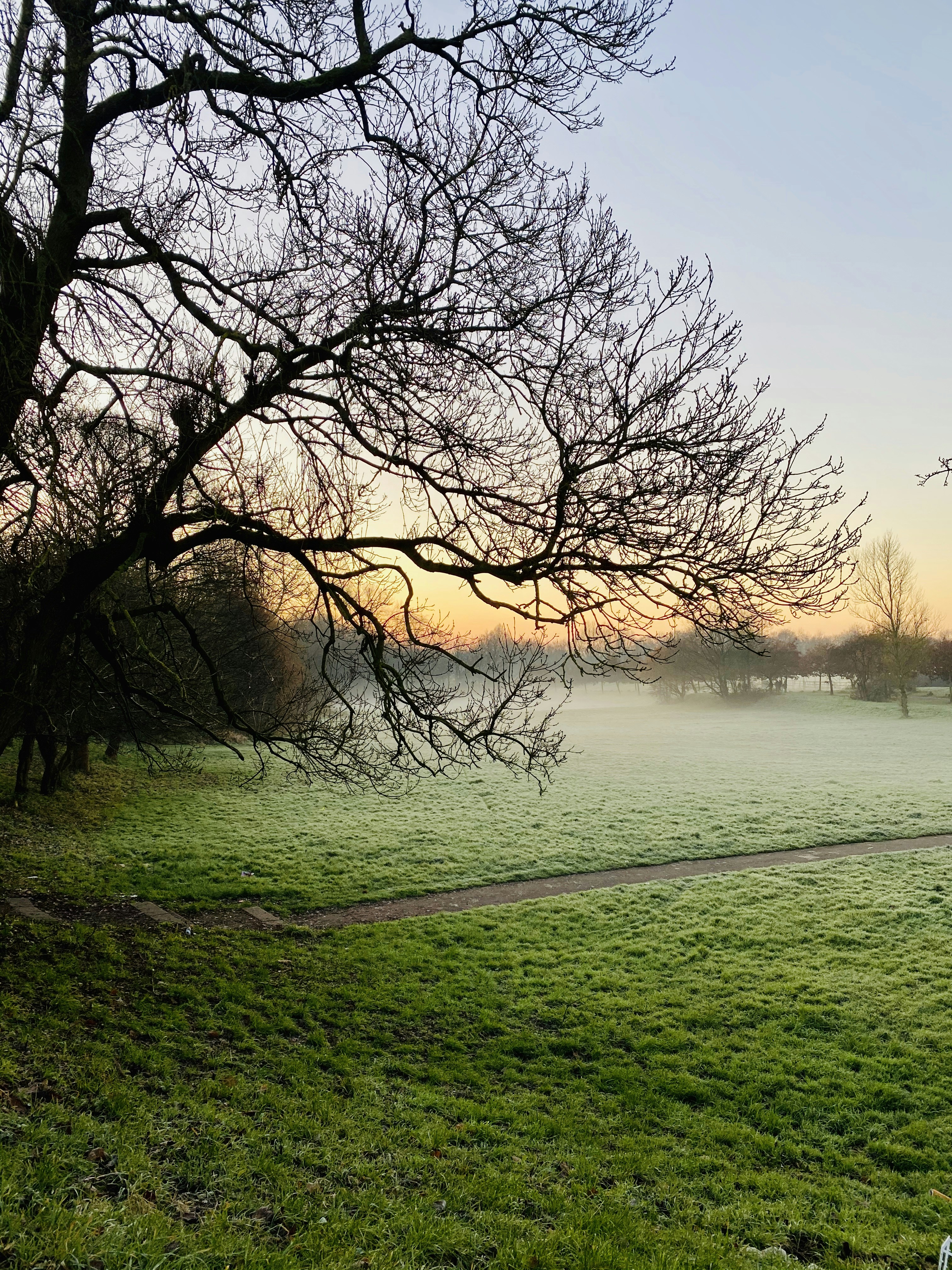 Photo by saneeshsukumaran