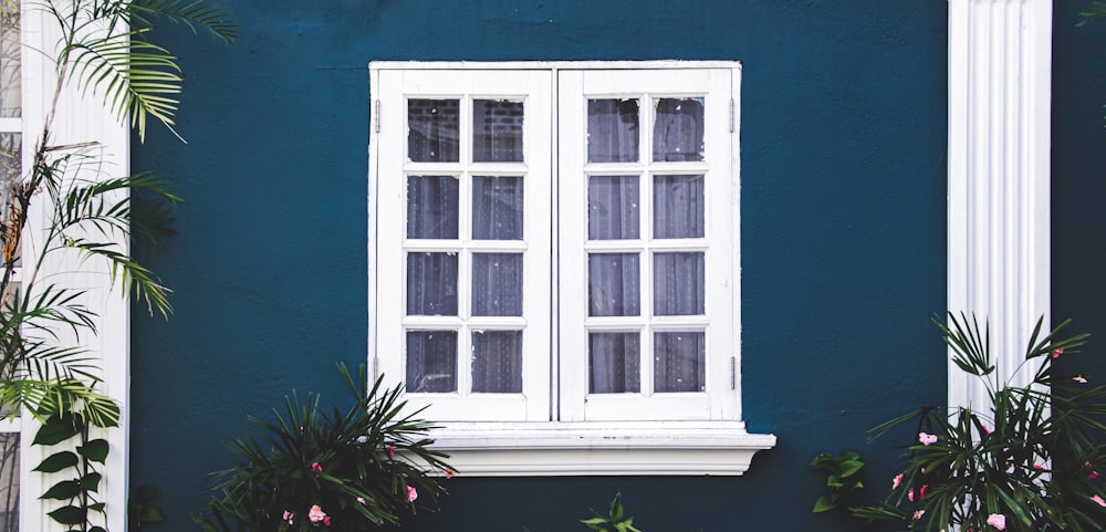 a blue building with a white window and potted plants