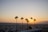 A scenic view of a rental car parked on a beautiful beach with palm trees in the background.