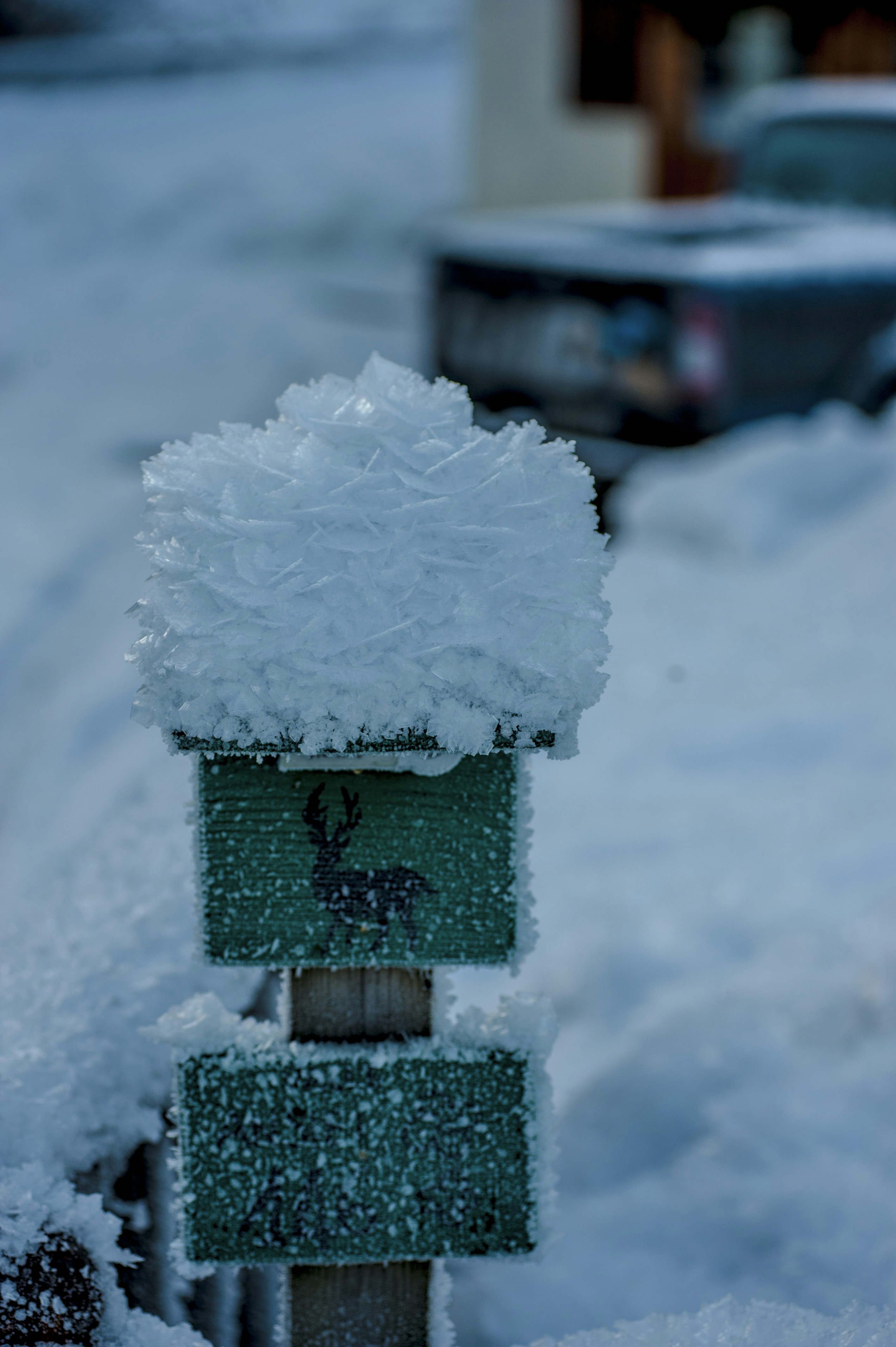 Photo by gopitri_prem