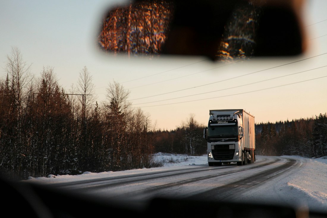 Rekka metsätiellä illalla