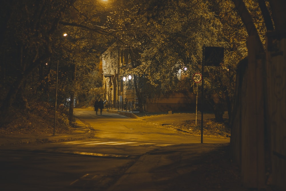 two person walking on the streets at night