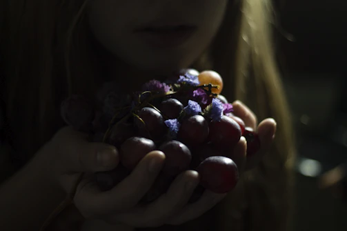A hand gently cradling a cluster of deep purple grapes, shadows playing softly on the skin.
