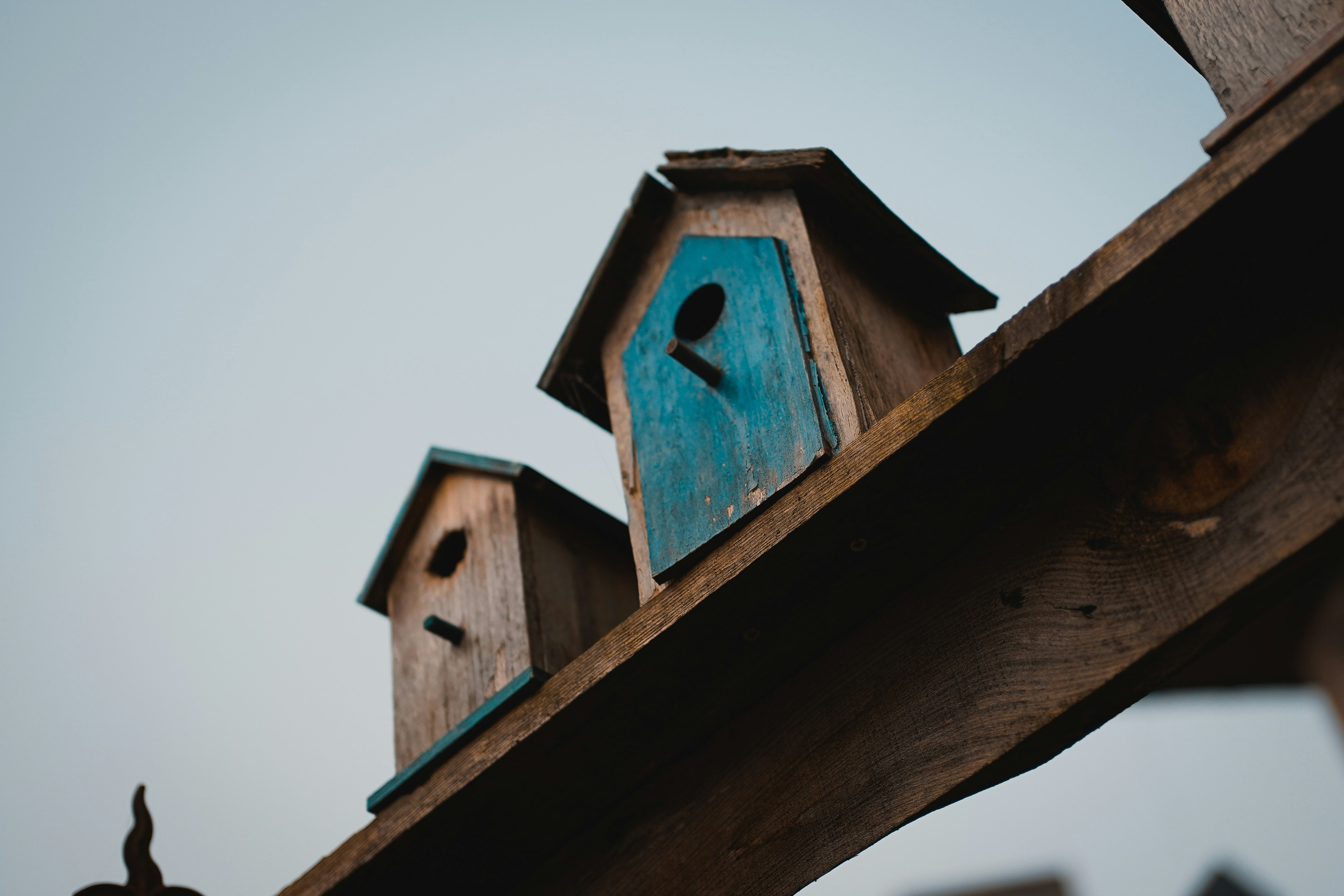 Photo by michelstock