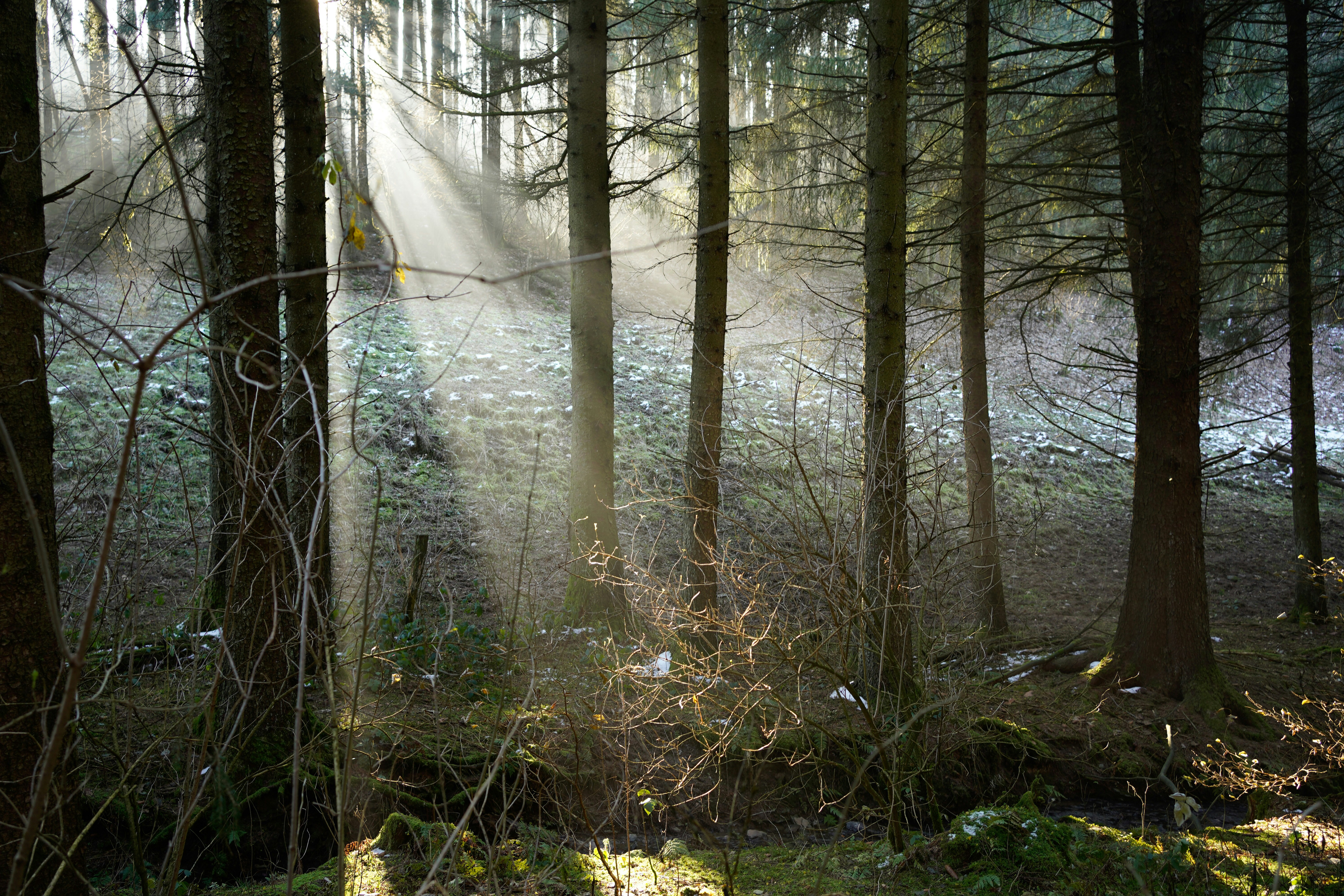 Photo by michelstock