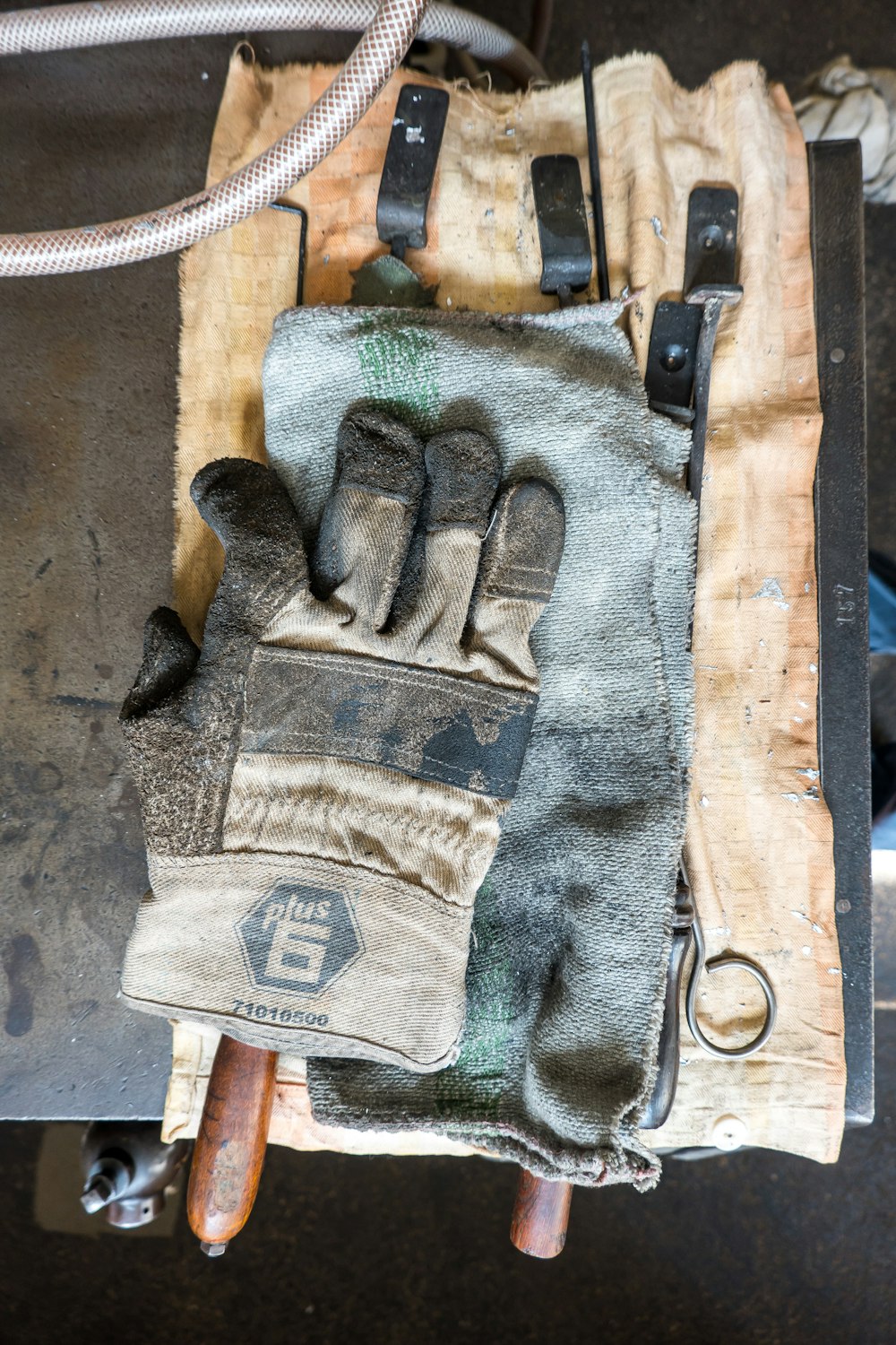 white and gray gloves on towel