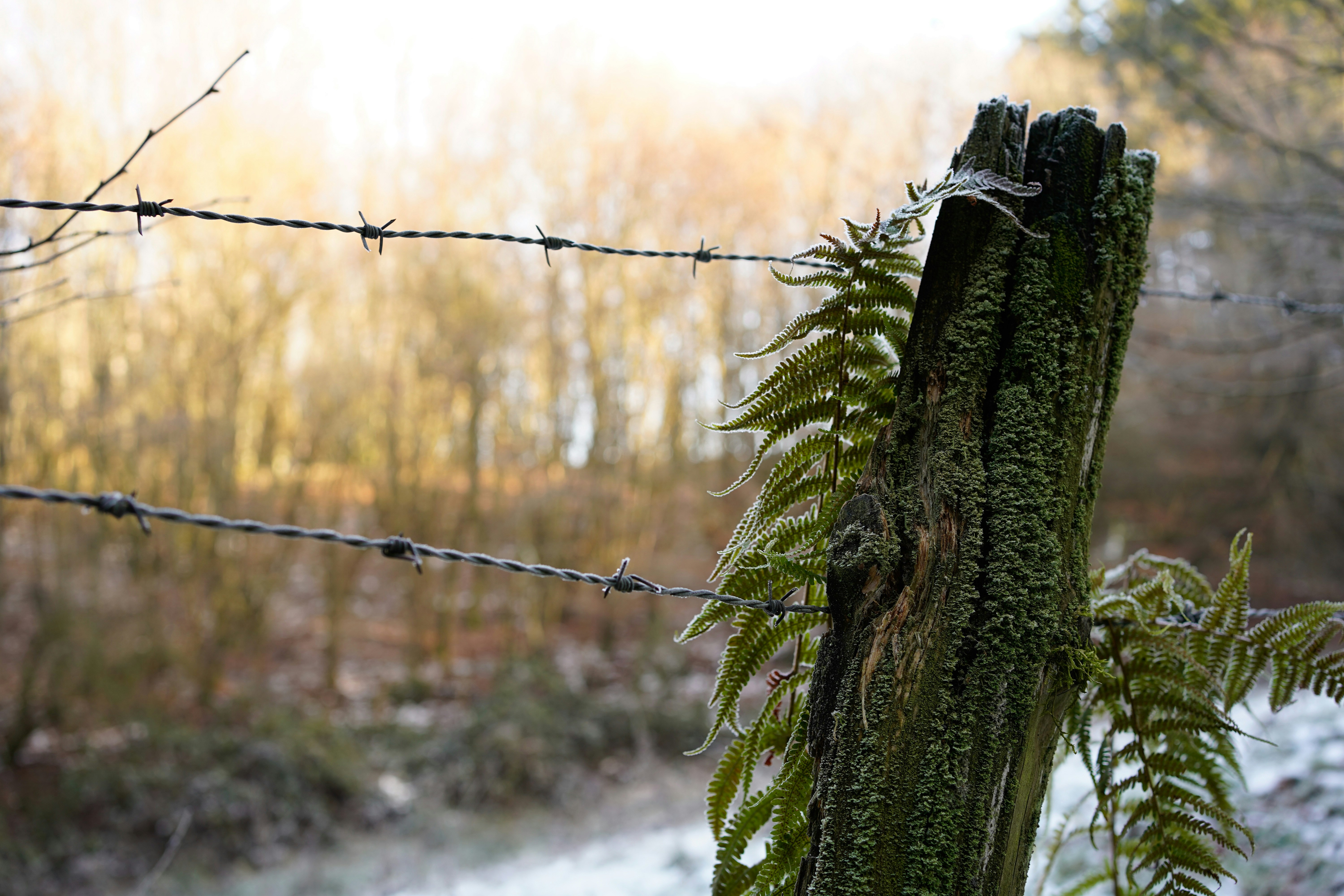 Photo by michelstock