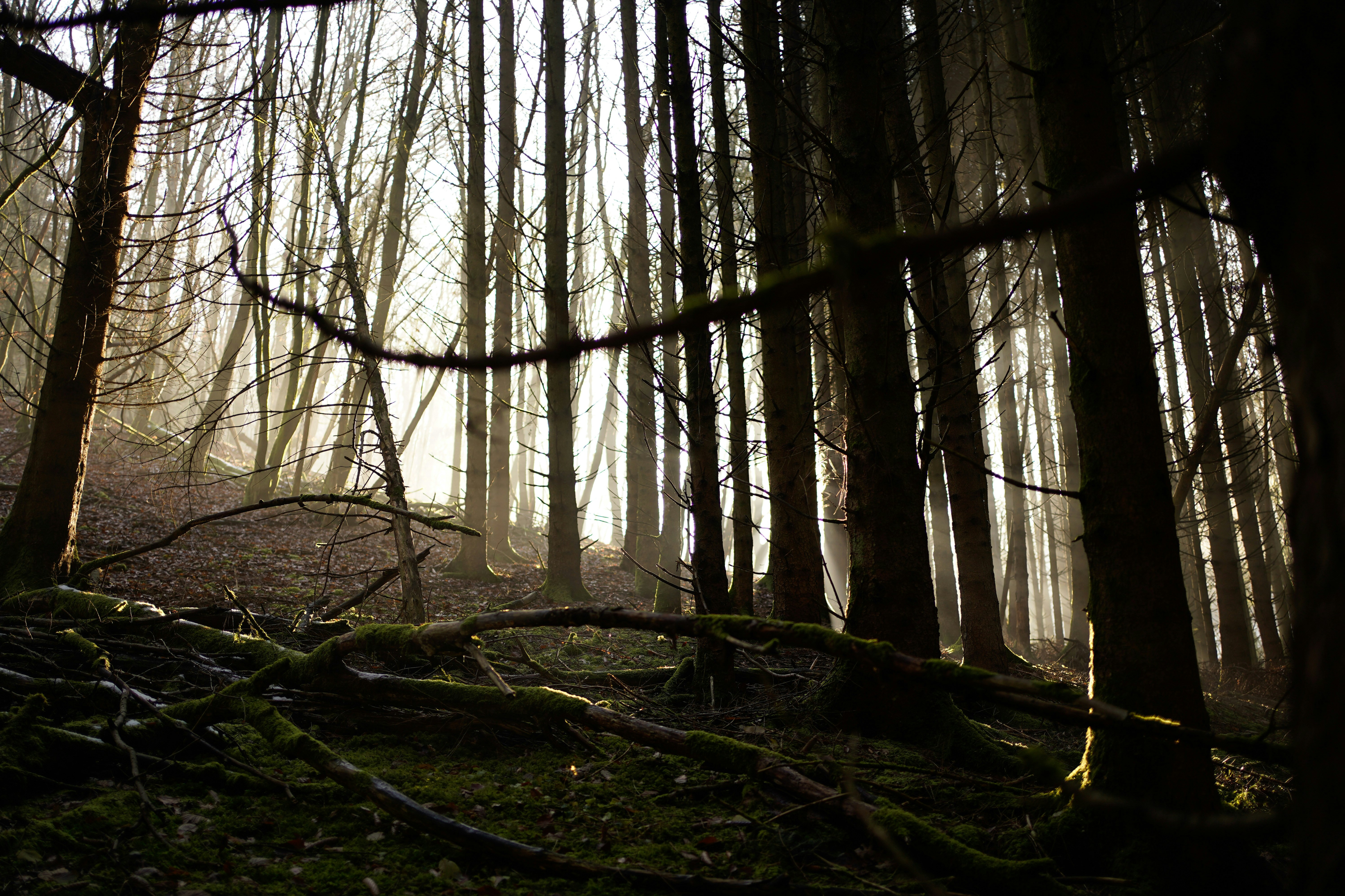 Photo by michelstock