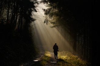person standing in the middle of forest