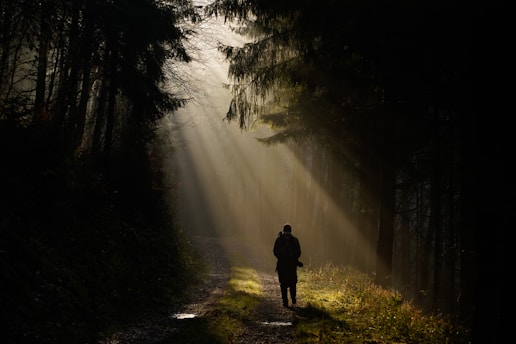 person standing in the middle of forest