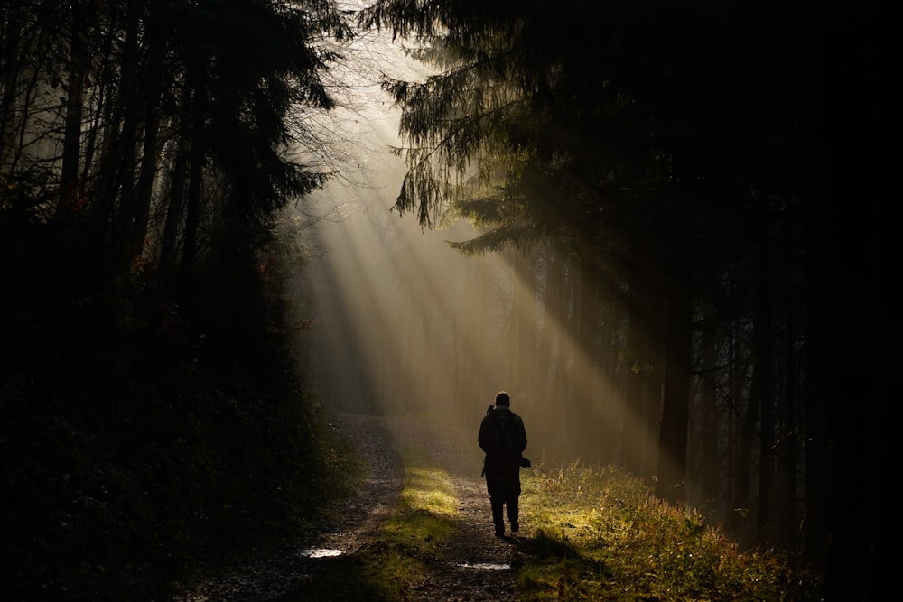 person standing in the middle of forest