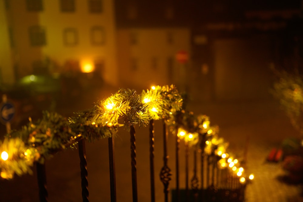 yellow string light