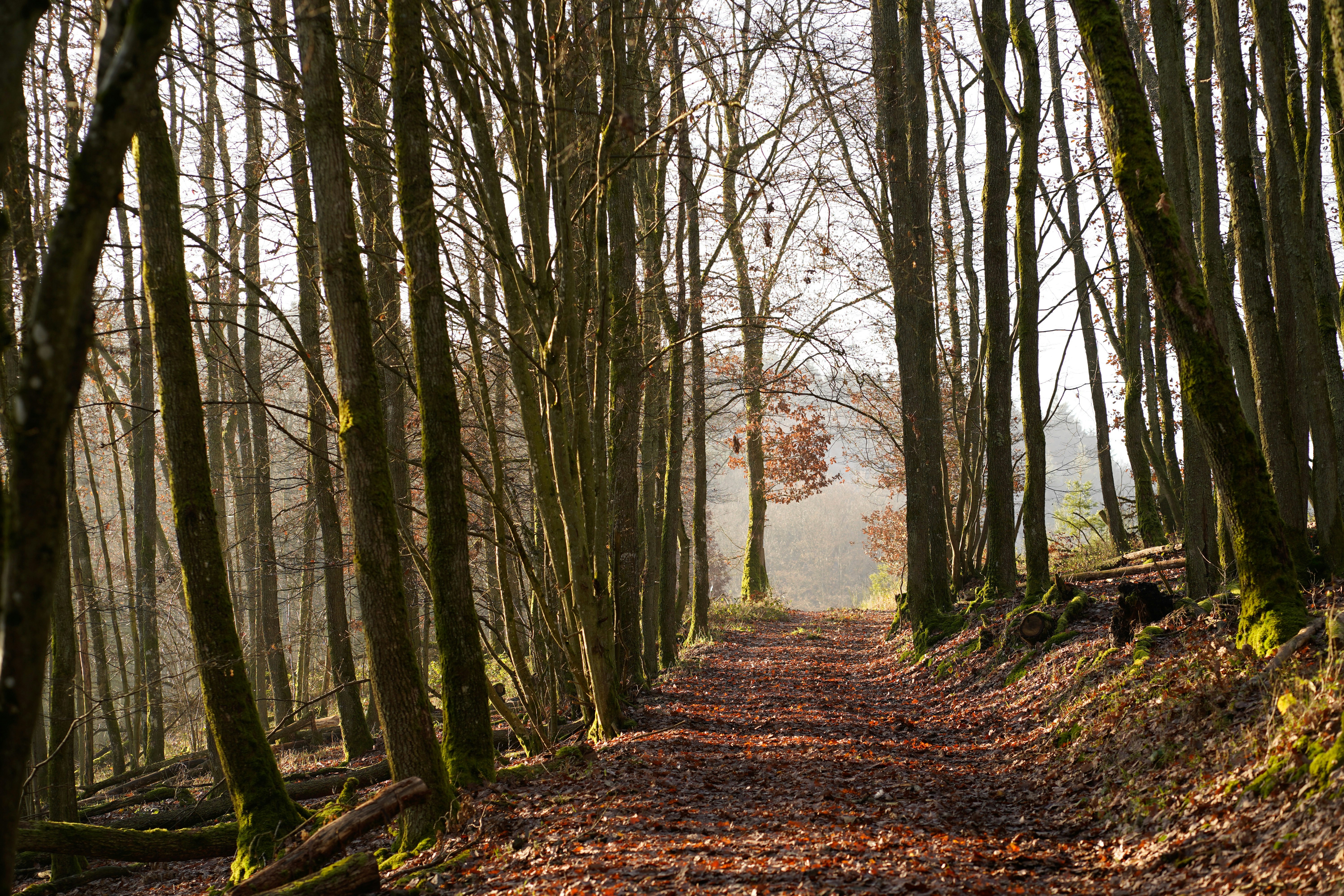 Photo by michelstock