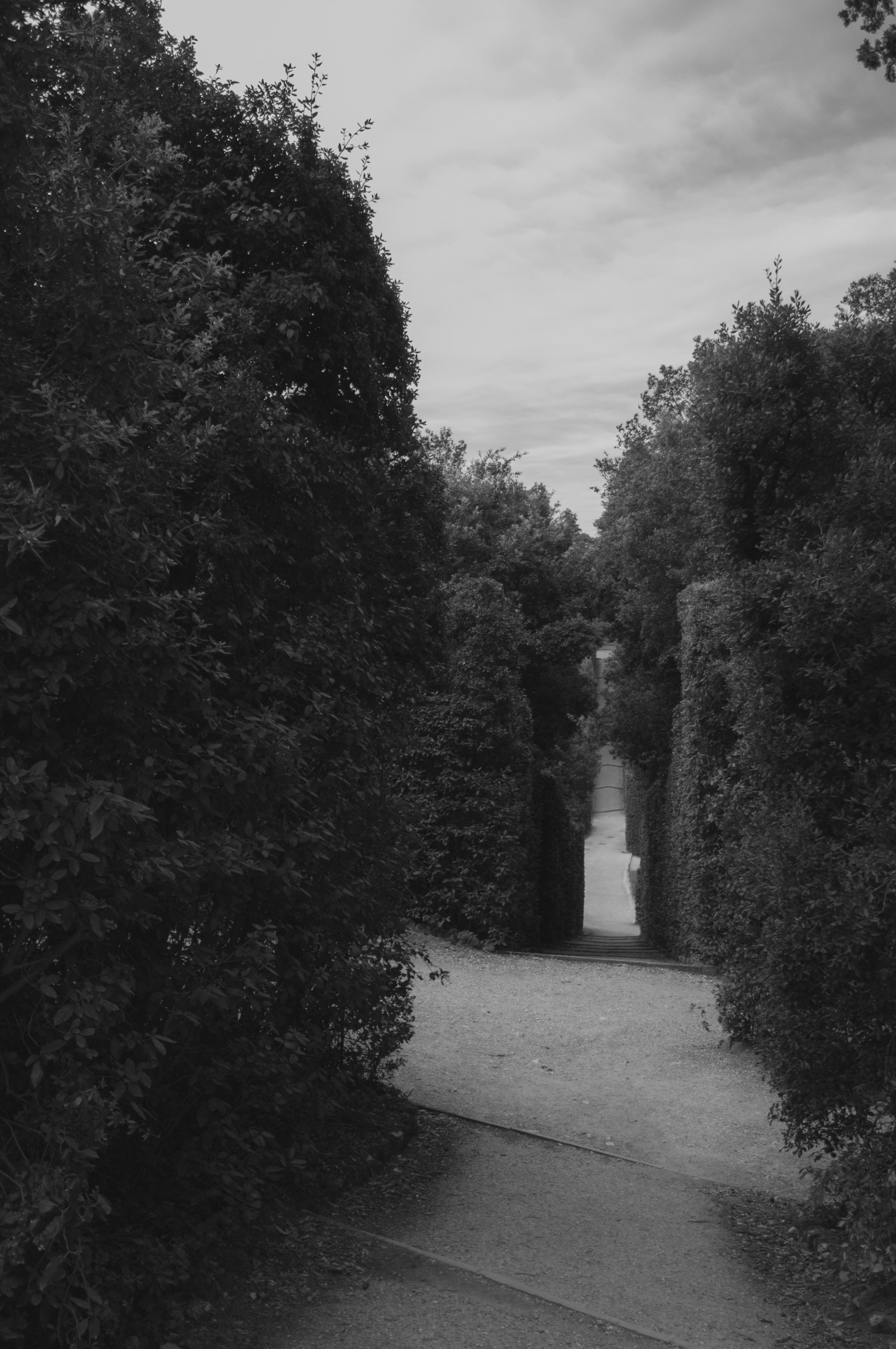 Sophisticated residential landscaping with structured hedges, stone pathways, ornamental grasses, and moody overcast sky creating dark atmospheric scene