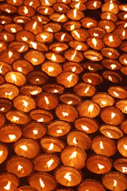 Vairagya Yogashala