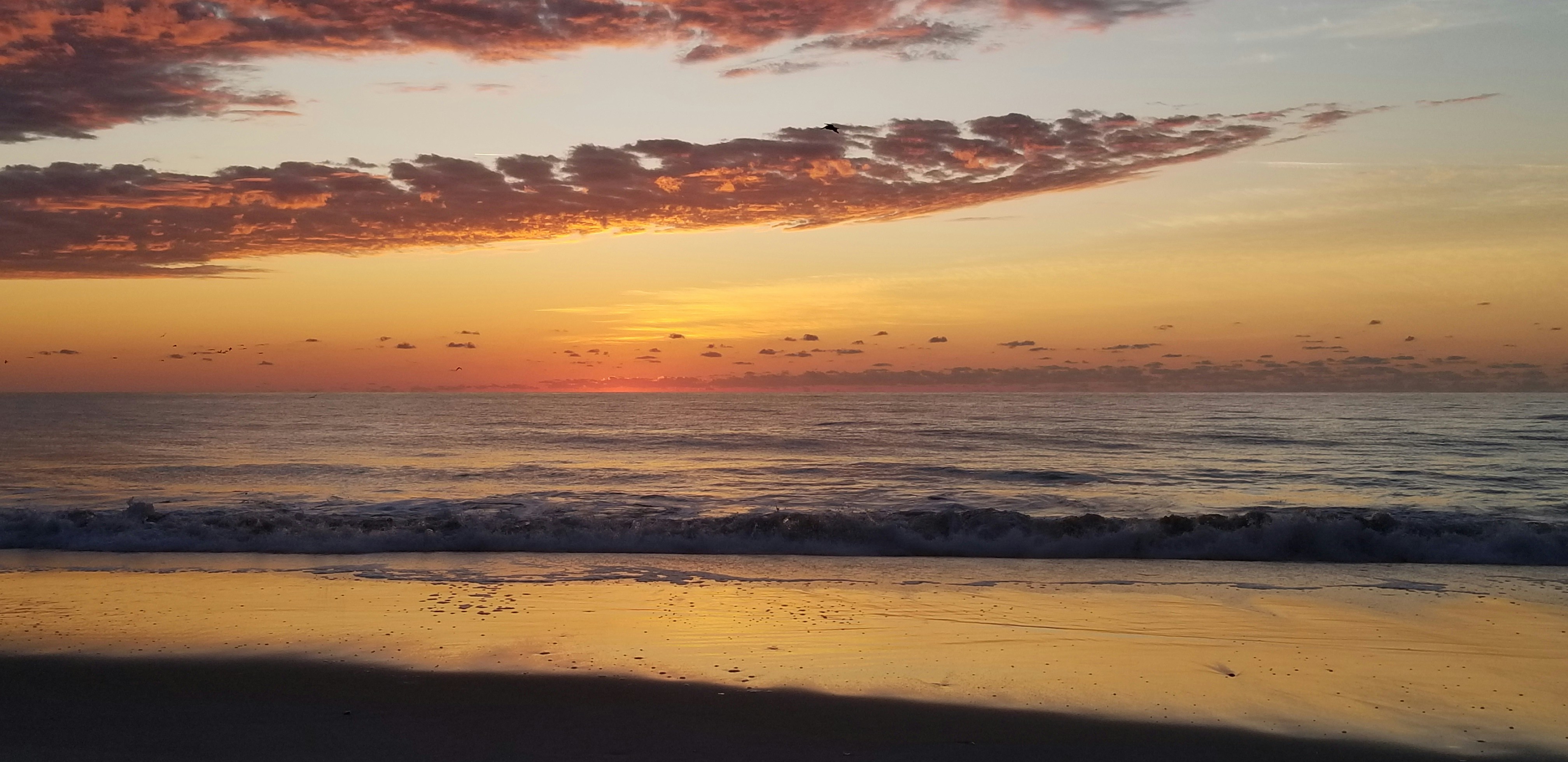A serene sunrise over a calm sea symbolizing hope and new beginnings.