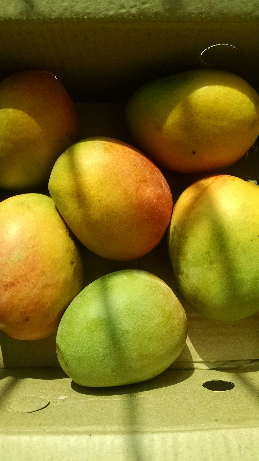 green mango fruits in box