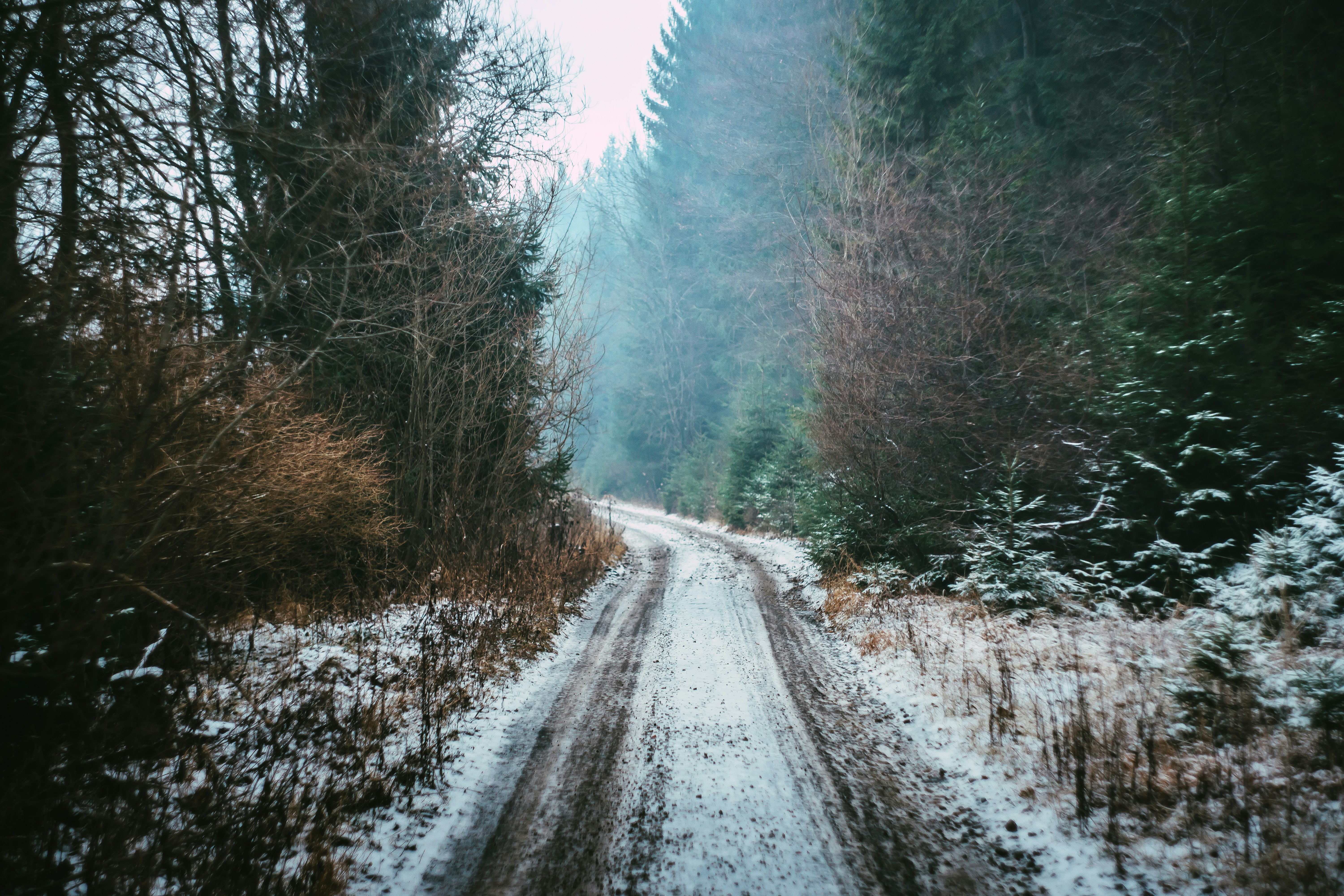 Photo by mikbutcher