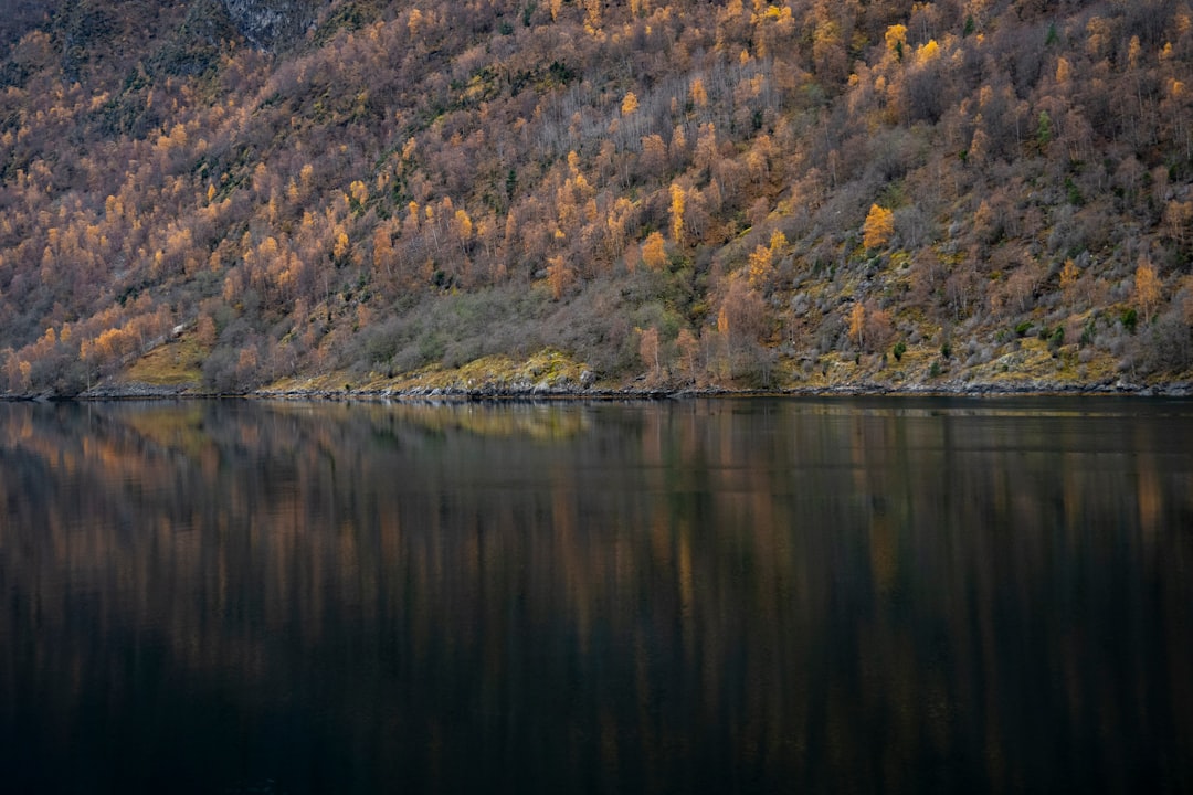 lake and gray and green grass scenery