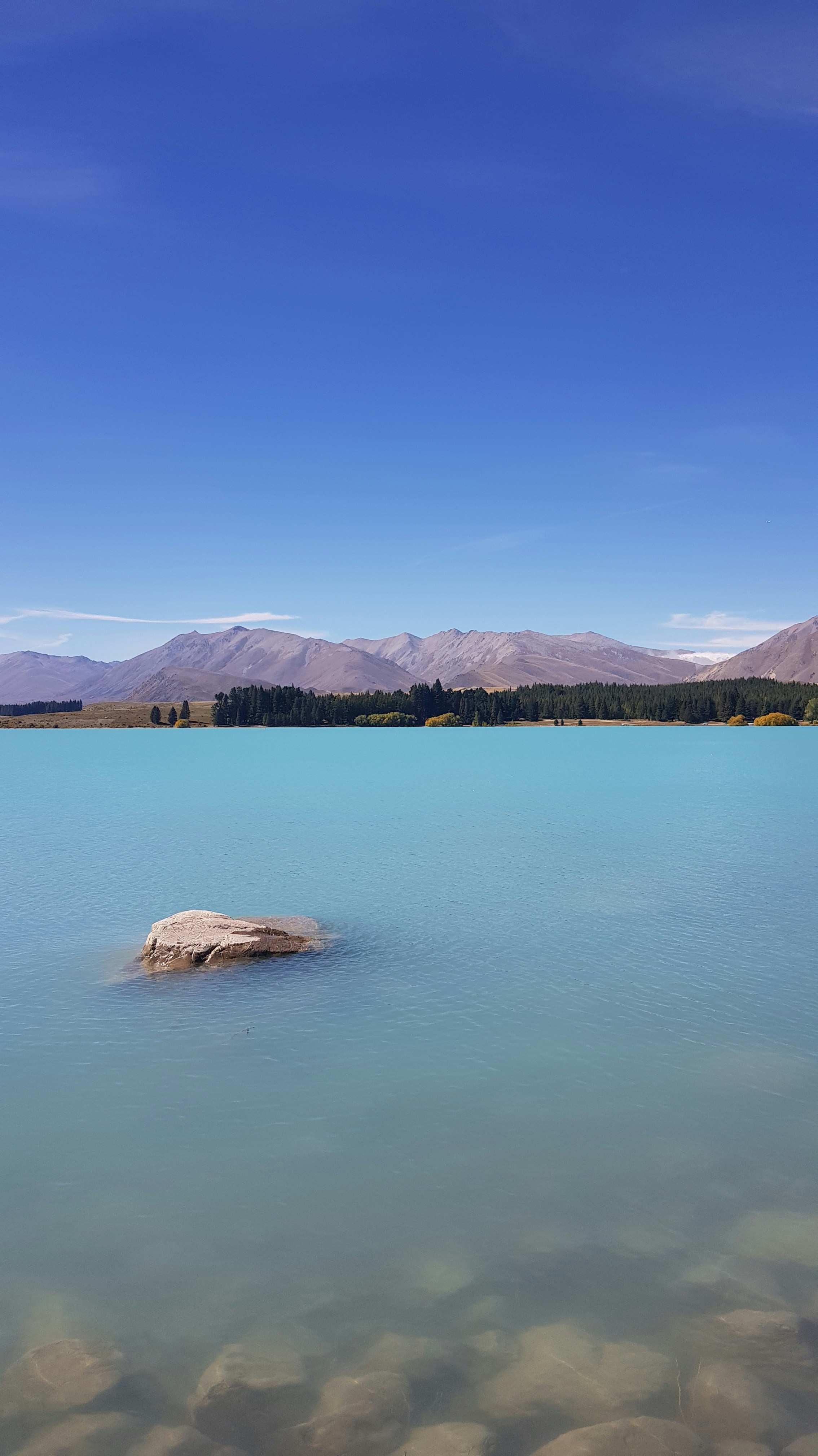 Photo by shutterspherecollective