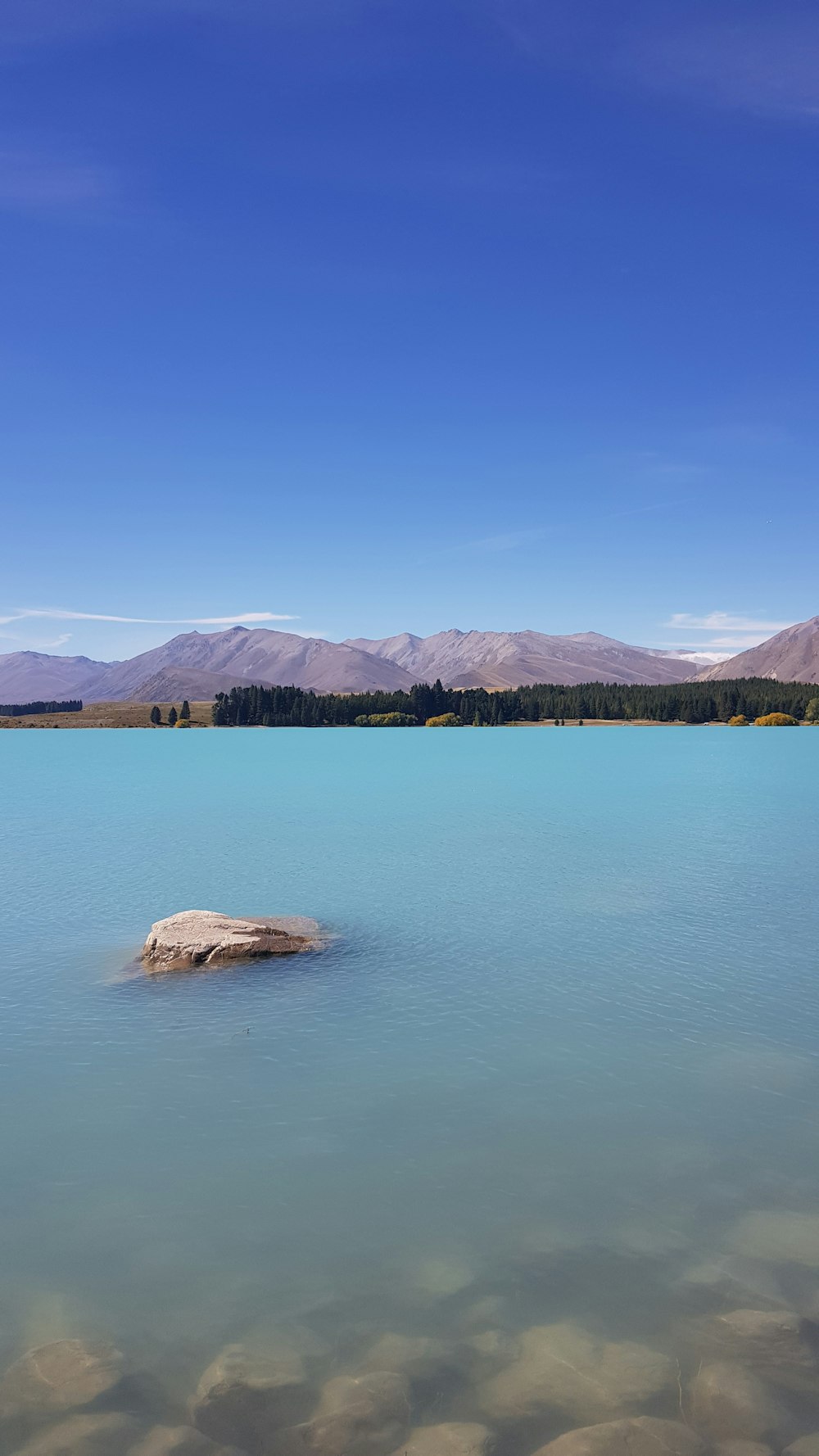 view photography of sea and shore during daytime