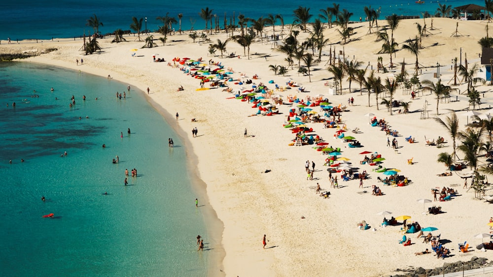 people on beach