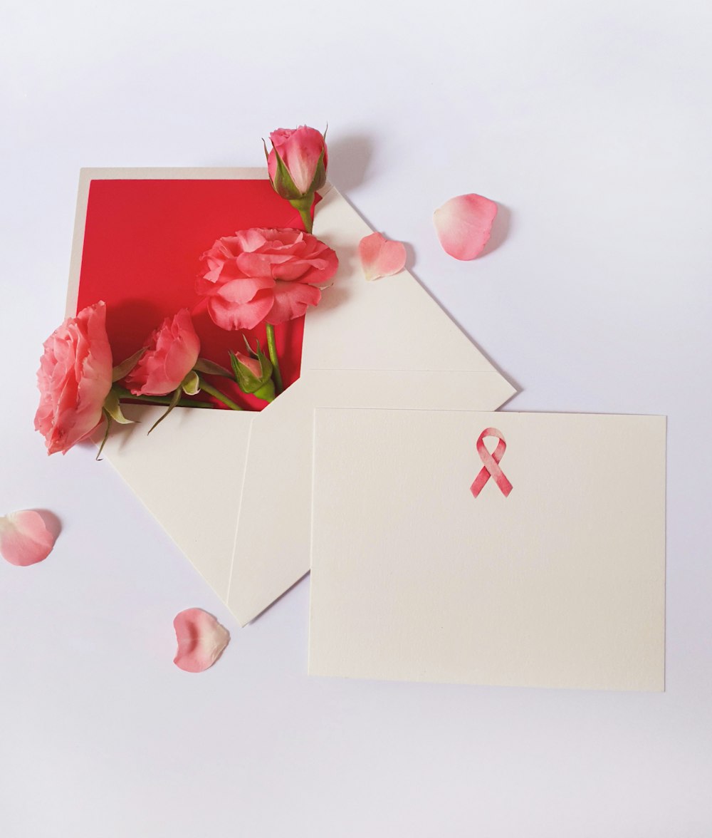 fiore rosa rosa e carta postale