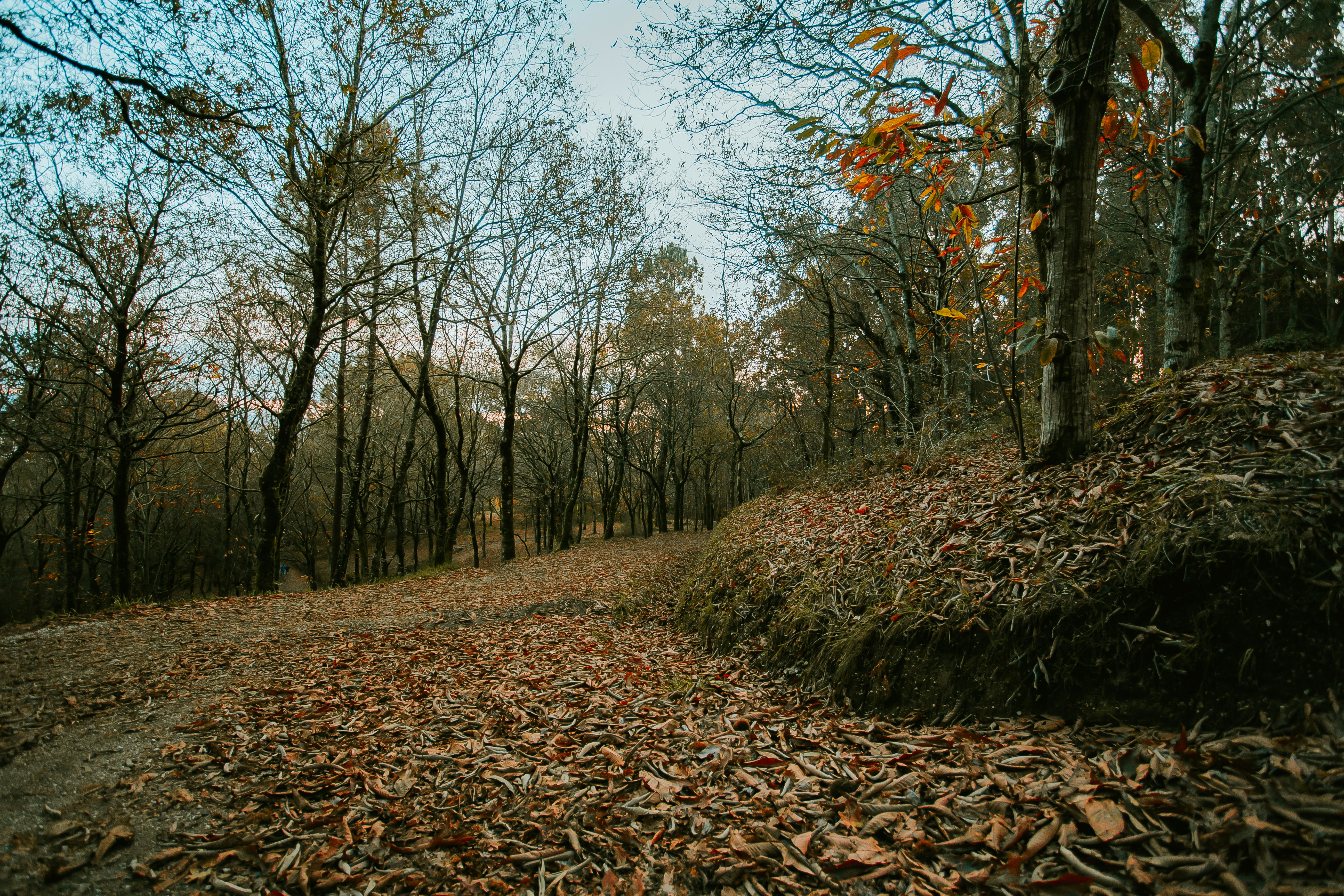 Photo by 3tnik