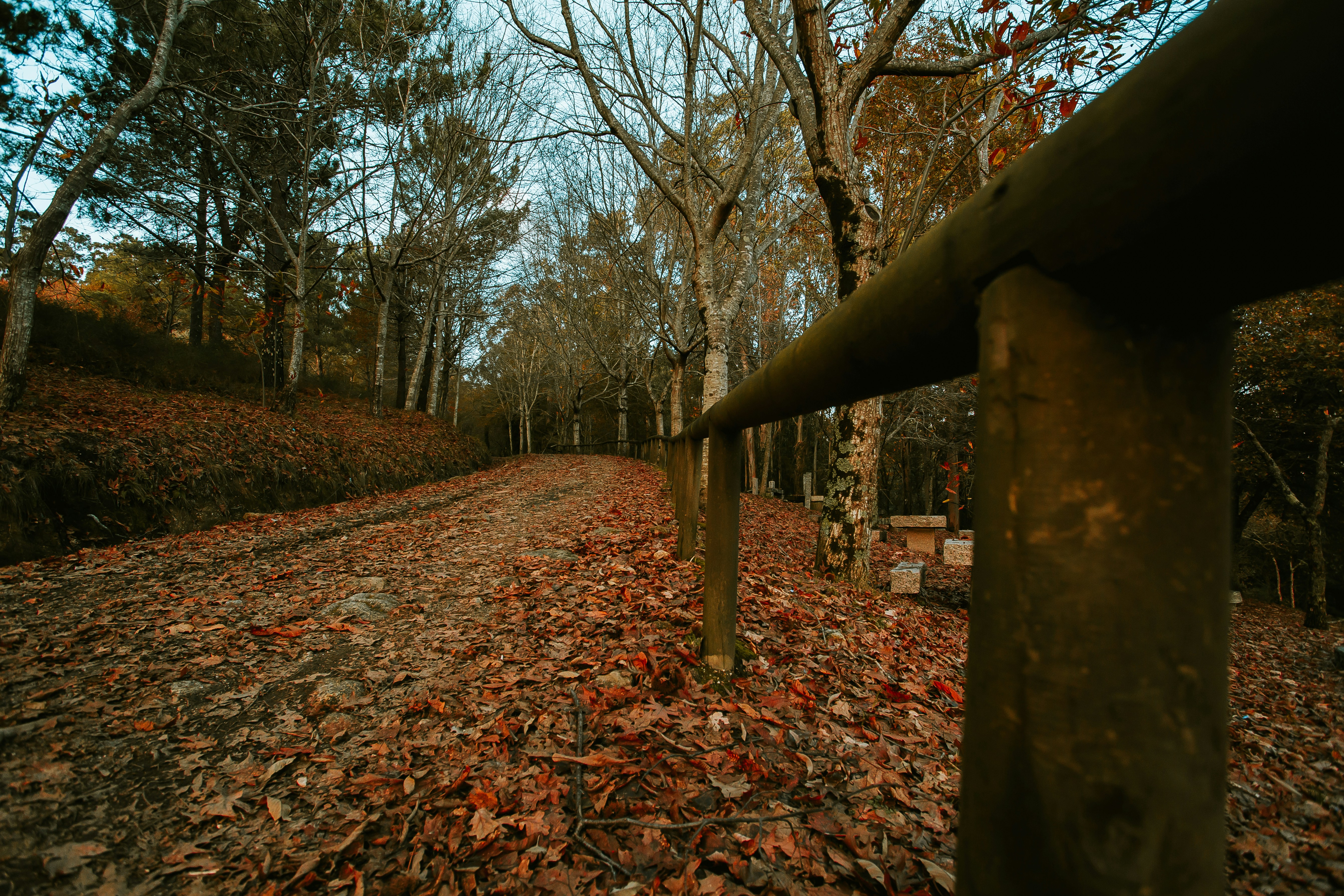 Photo by 3tnik