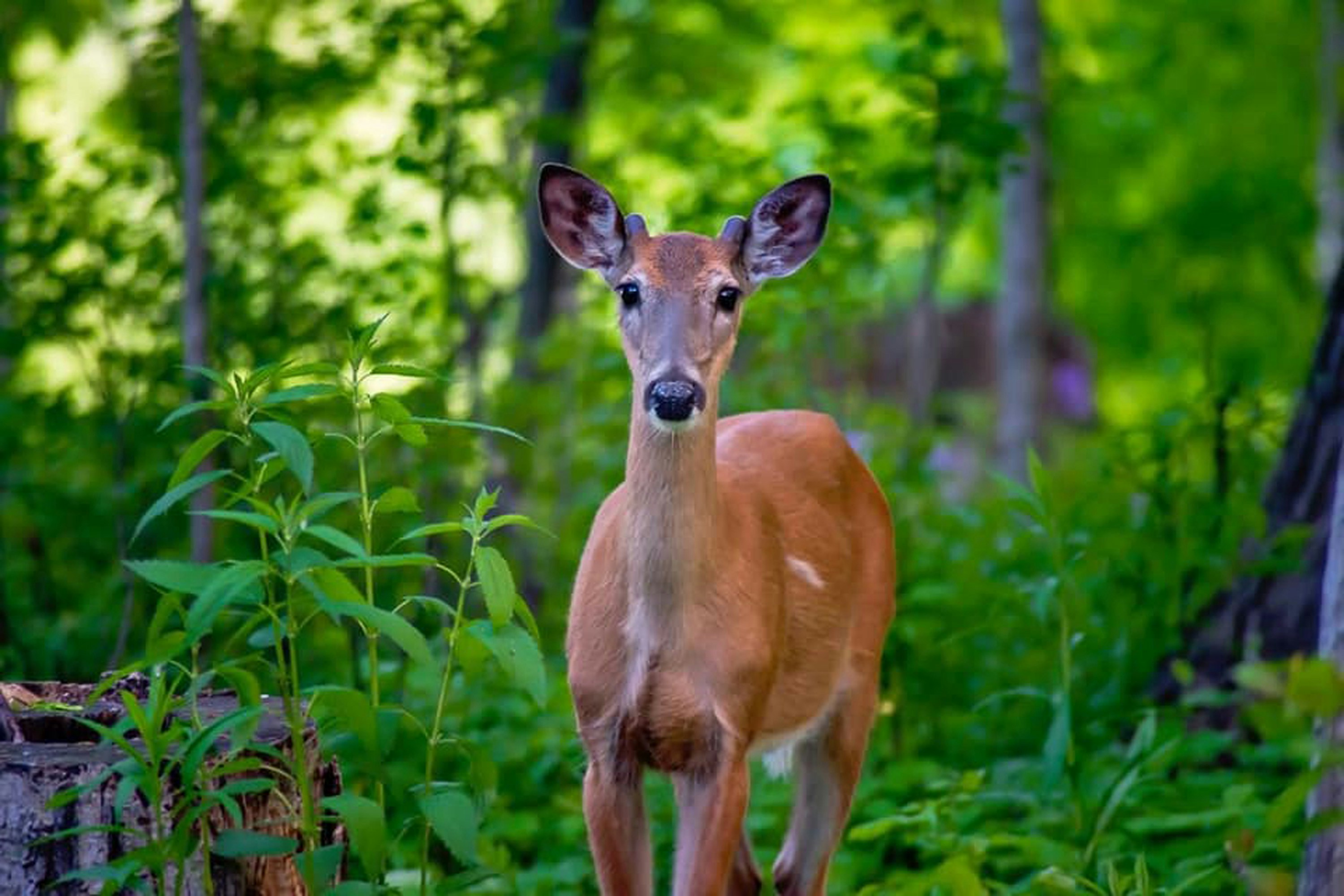 Photo by jessika2534