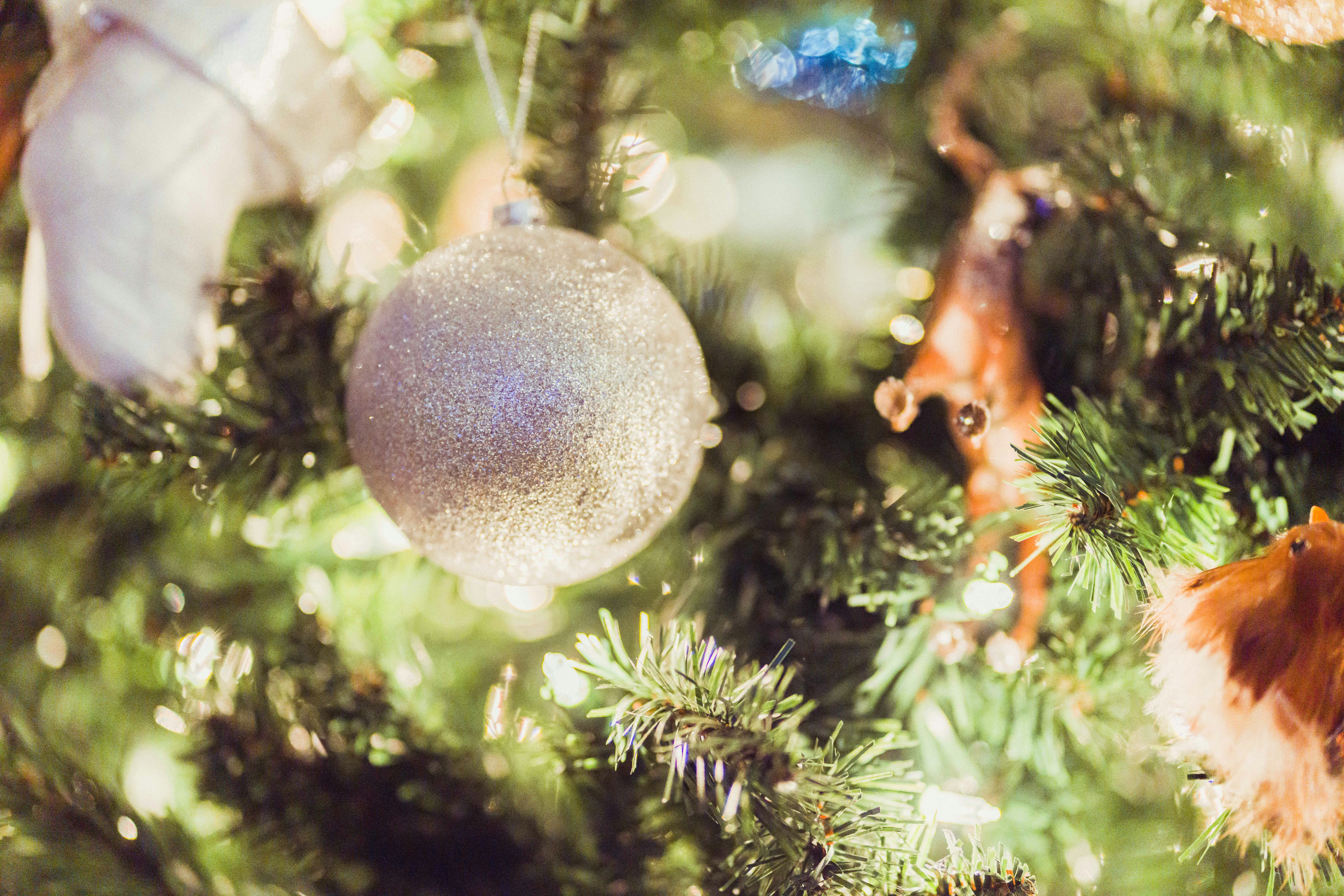 Photo by evphotography