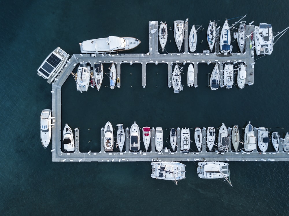 yachts and boats on dock