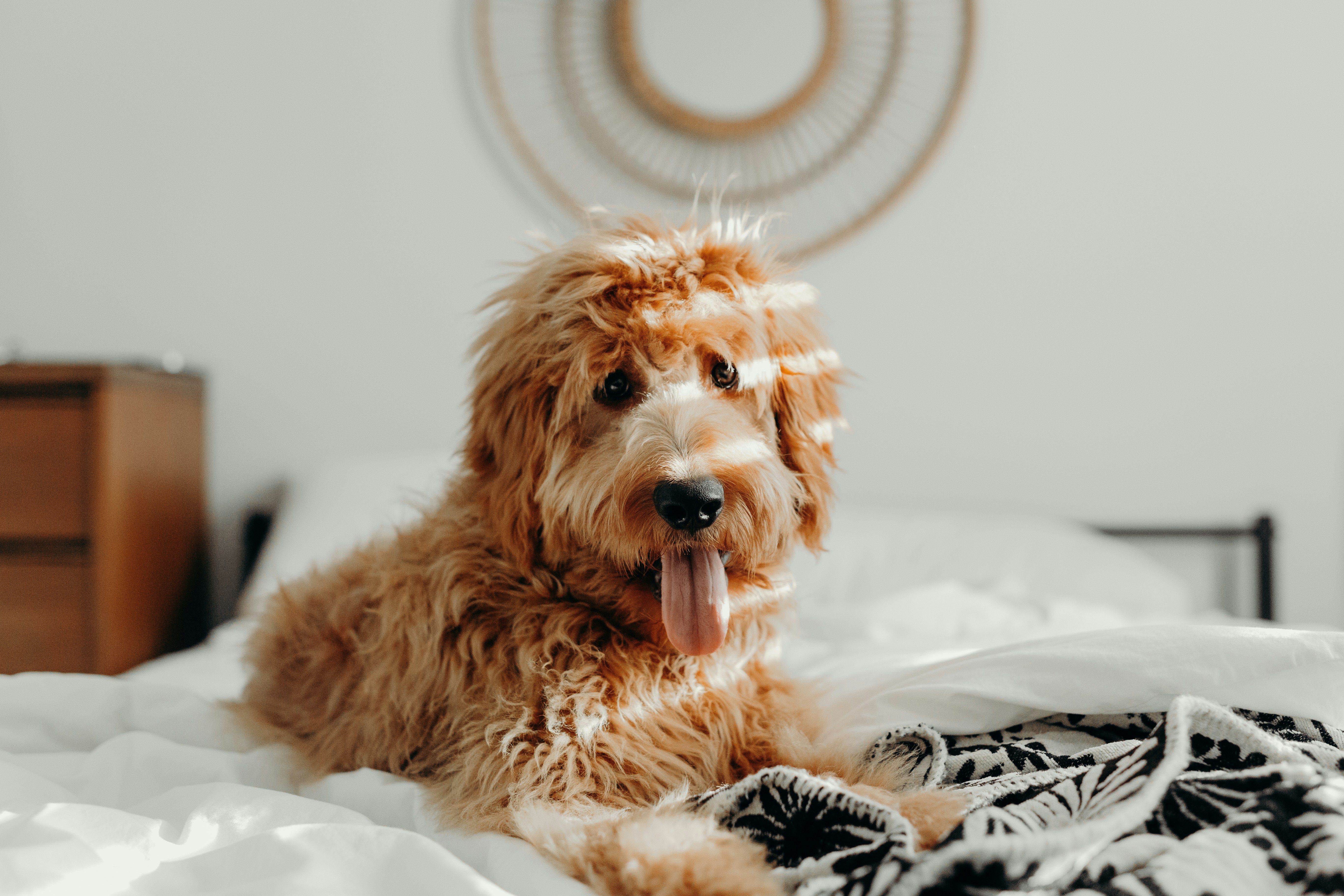 Photo by brookecagle