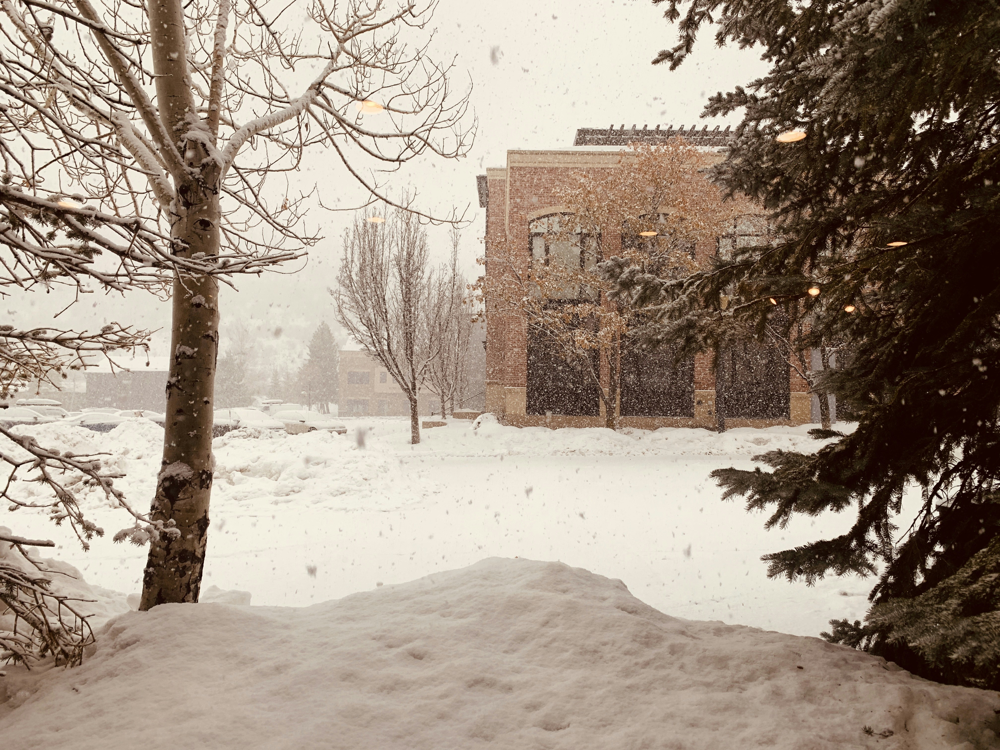 Photo by timhart0421