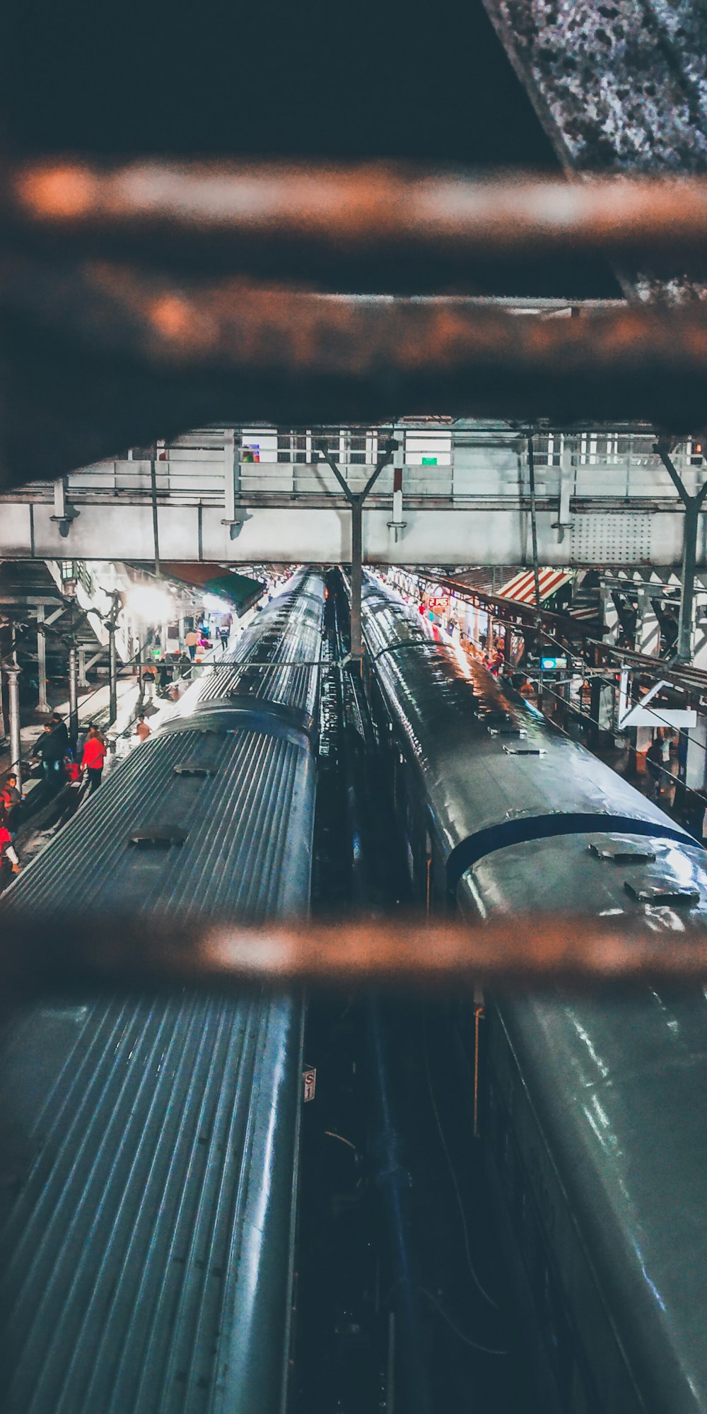 grey train photograph