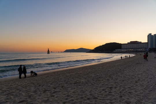 people on seashore in Haeundae Beach South Korea