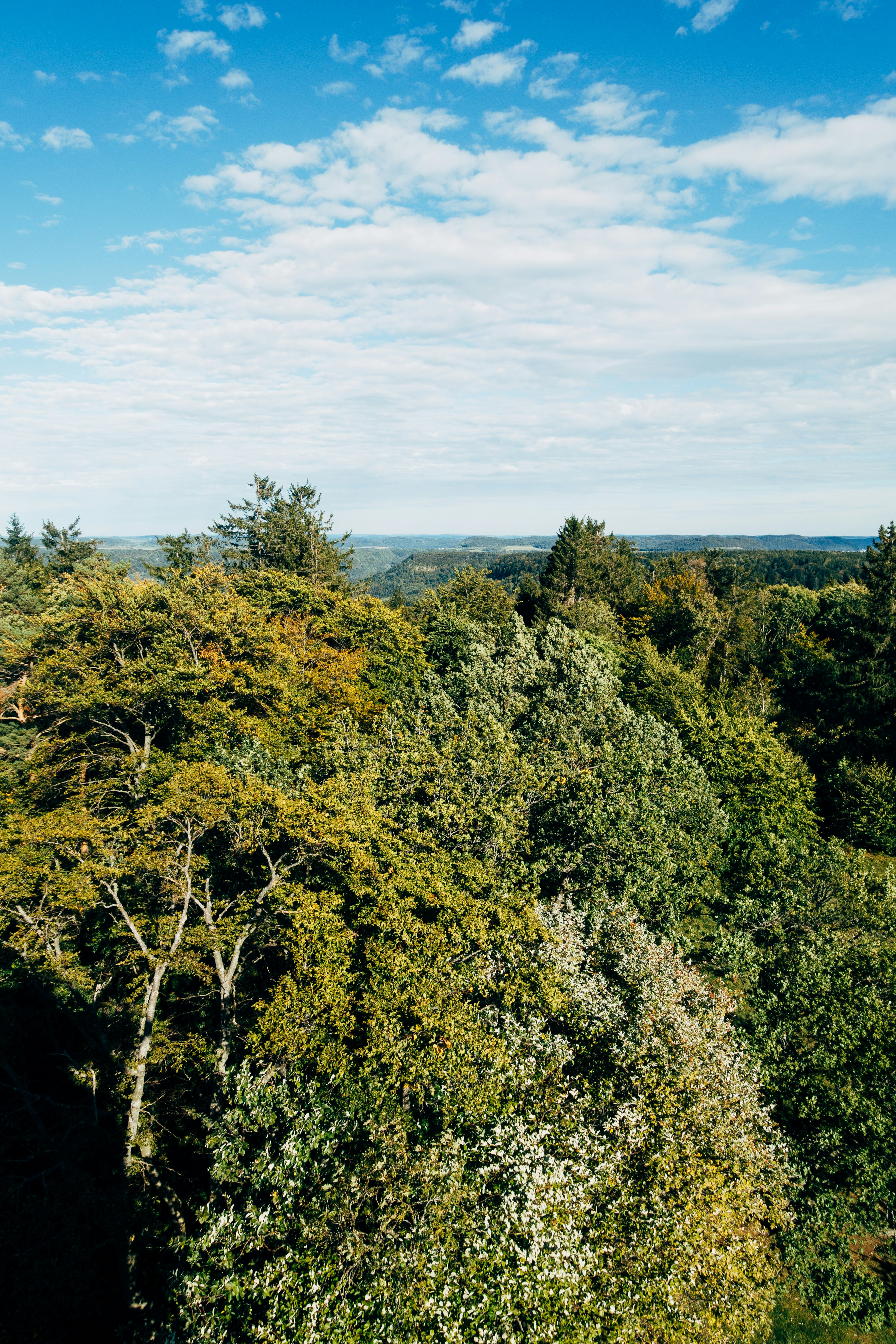 Photo by markuswinkler