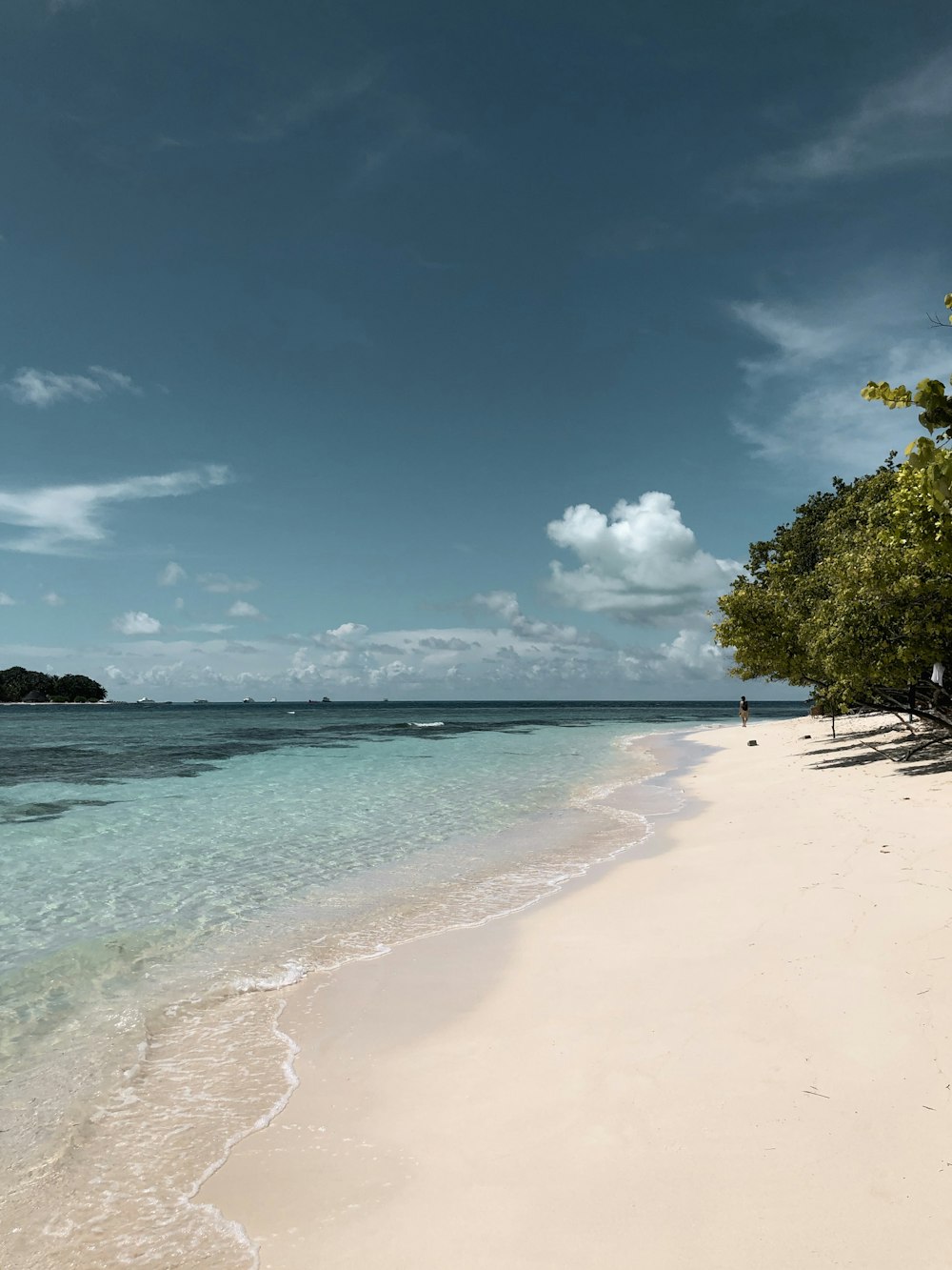 white sand beach