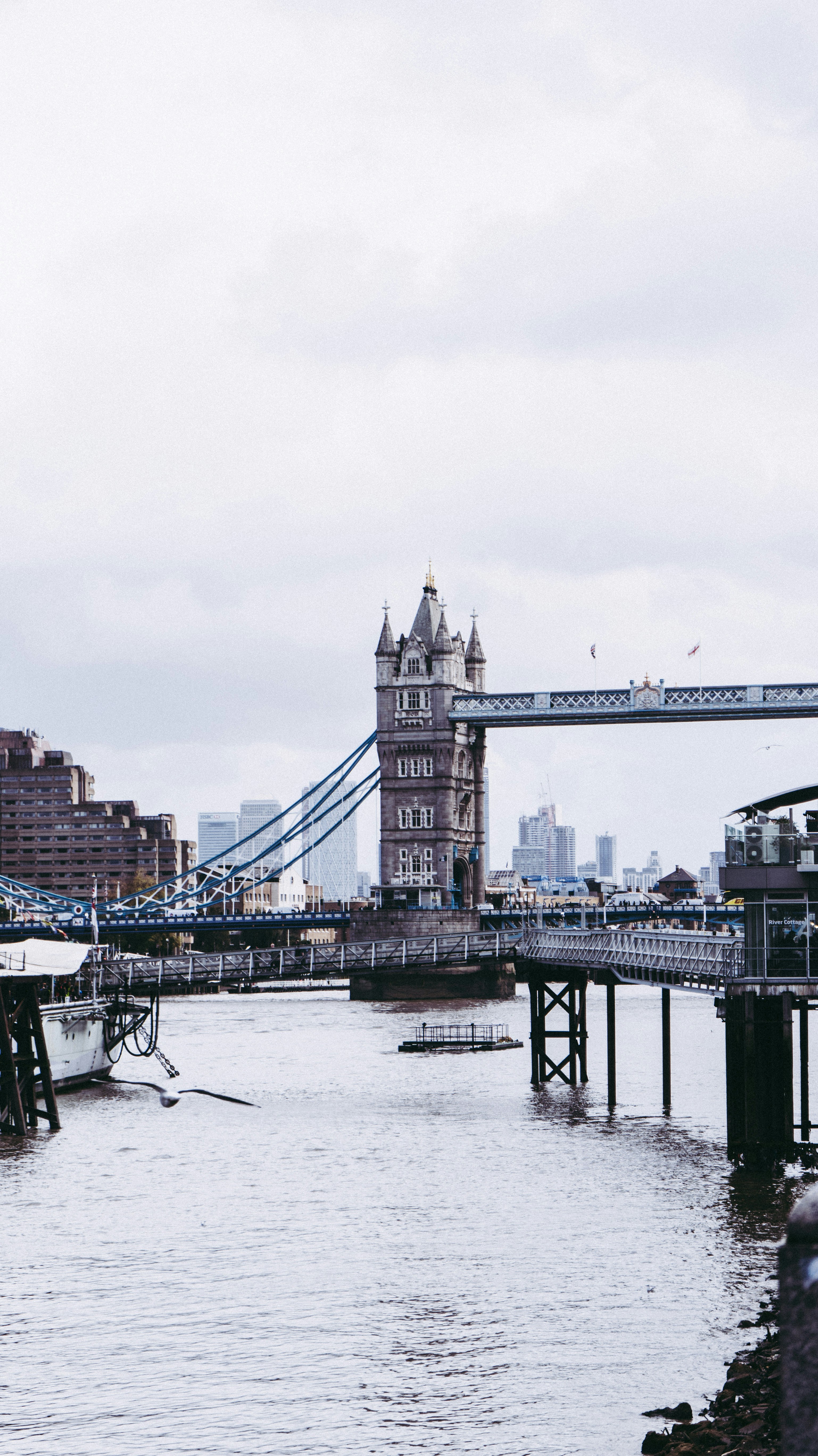 Photo by virussinside