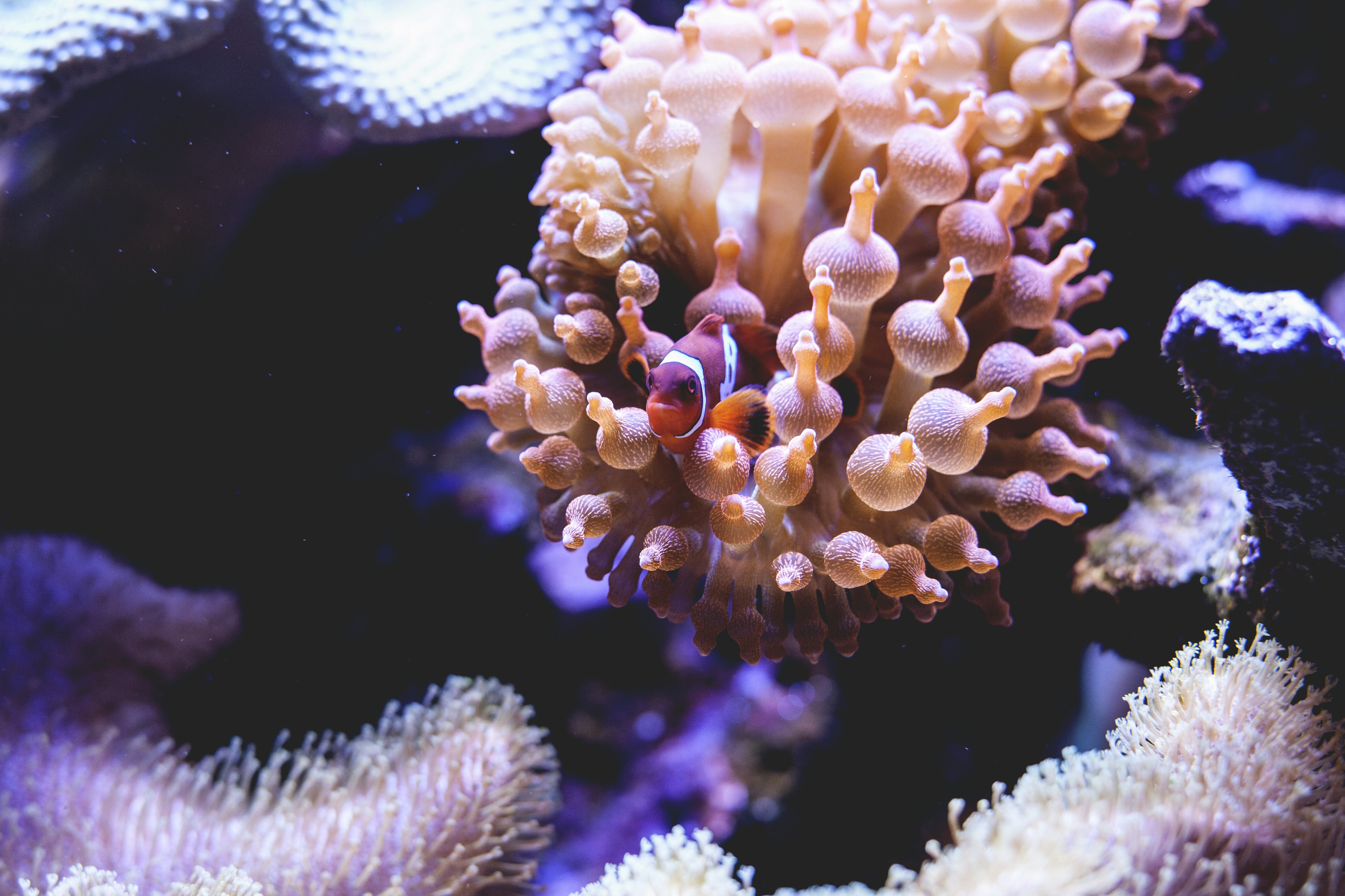 Photo by ashleyinthestar