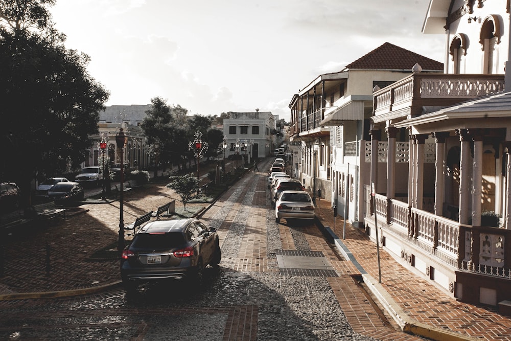 gray vehicles parked beside houses