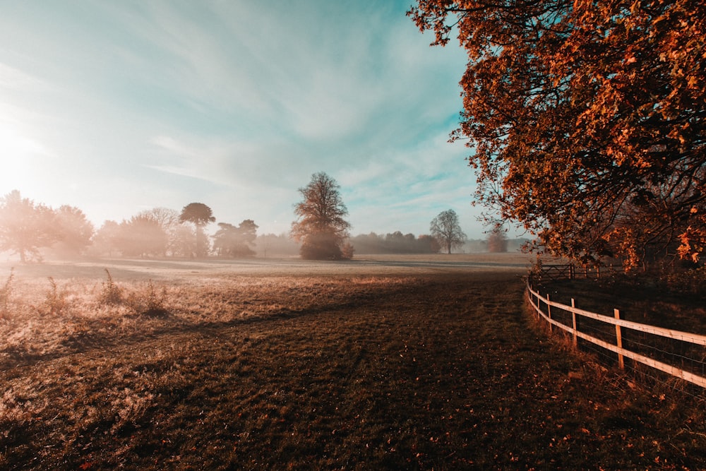 view photography of farm ranch