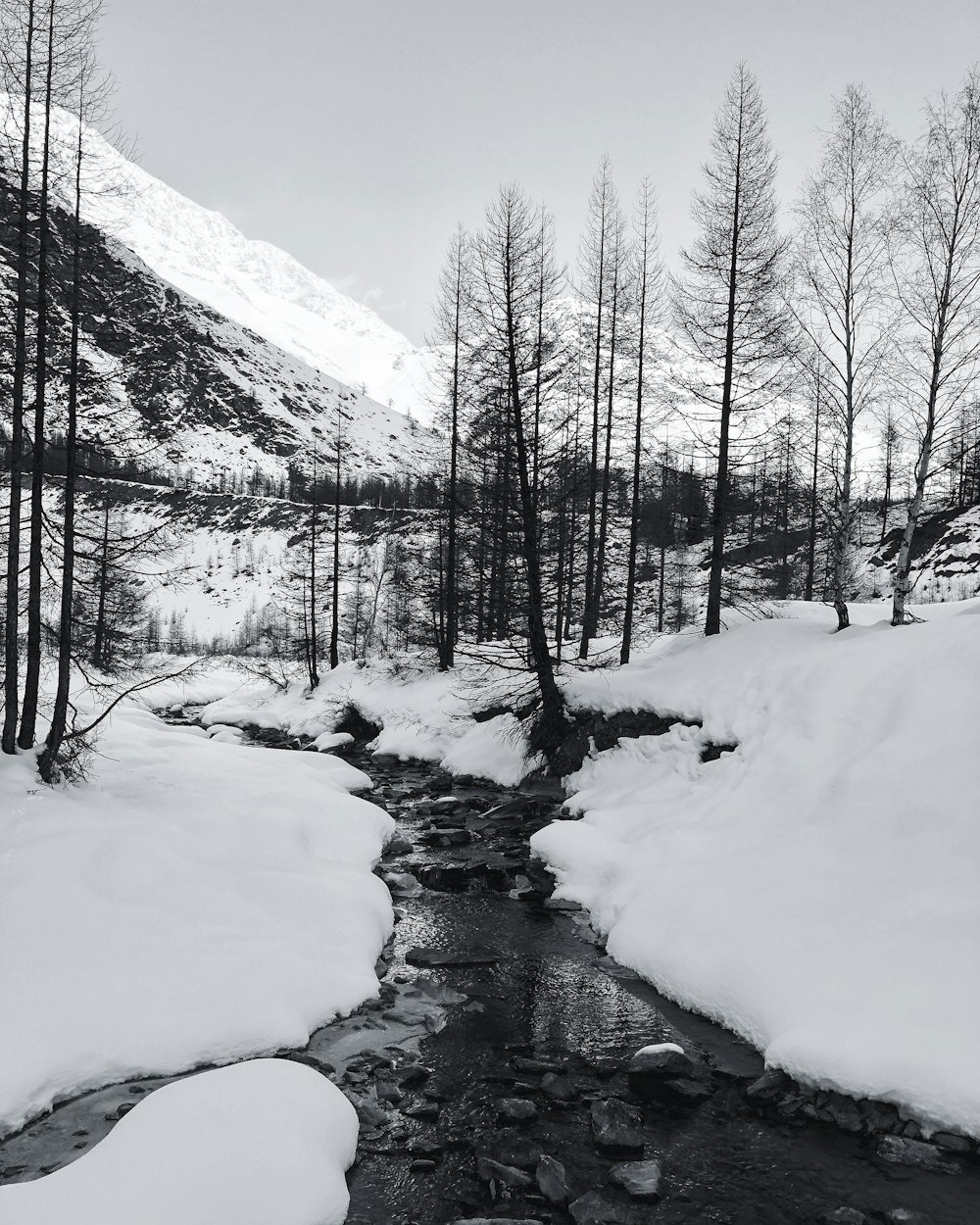 fotografia in scala di grigi del fiume e degli alberi coperti dalla neve bianca