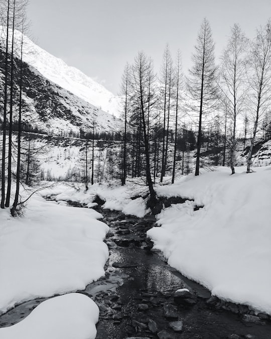 grayscale photography of river and trees covered by white snow in Saas-Fee Switzerland