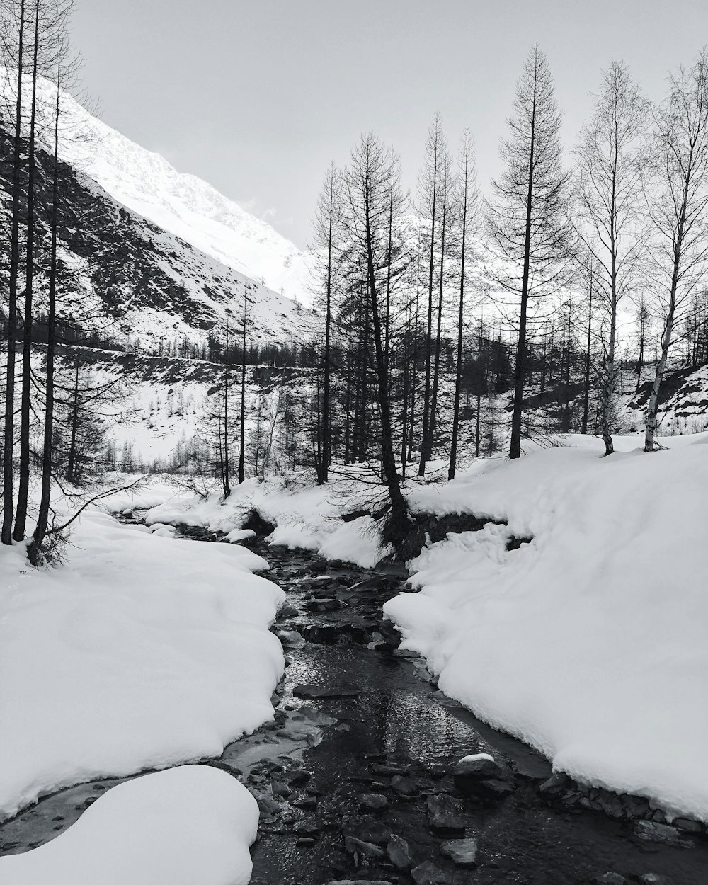 grayscale photography of river and trees covered by white snow