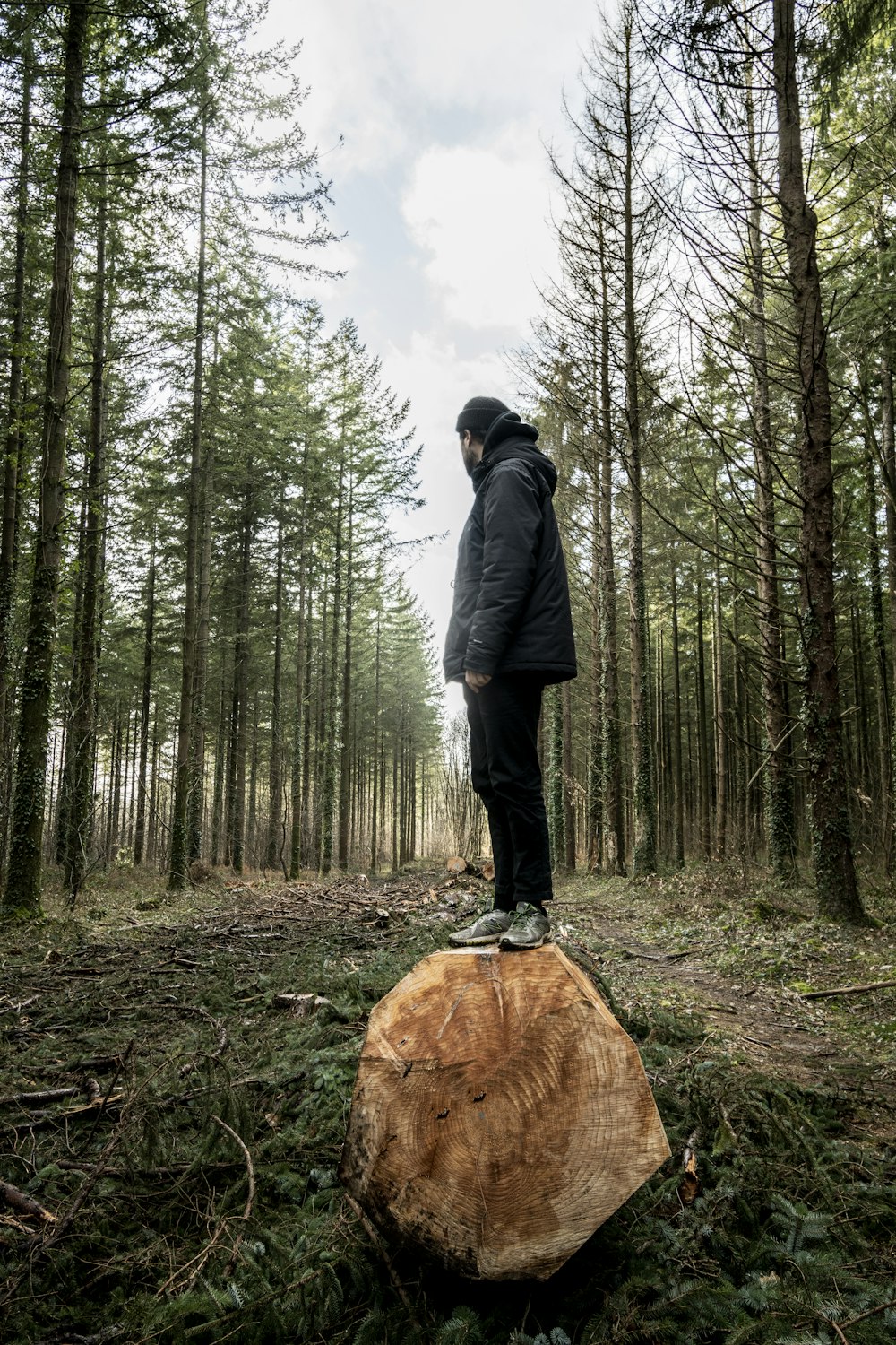 man standing on a tree log