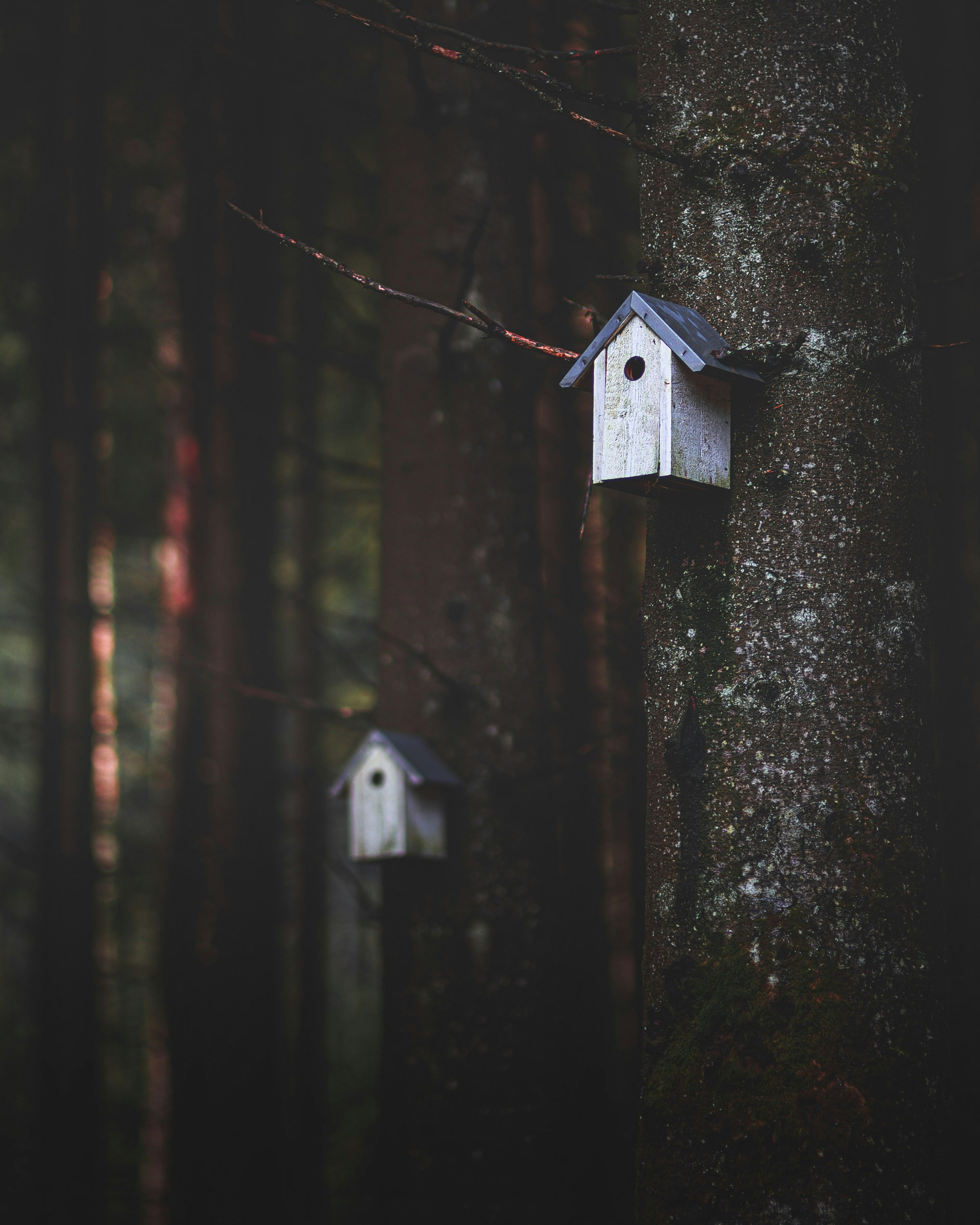 Photo by lachlangowen