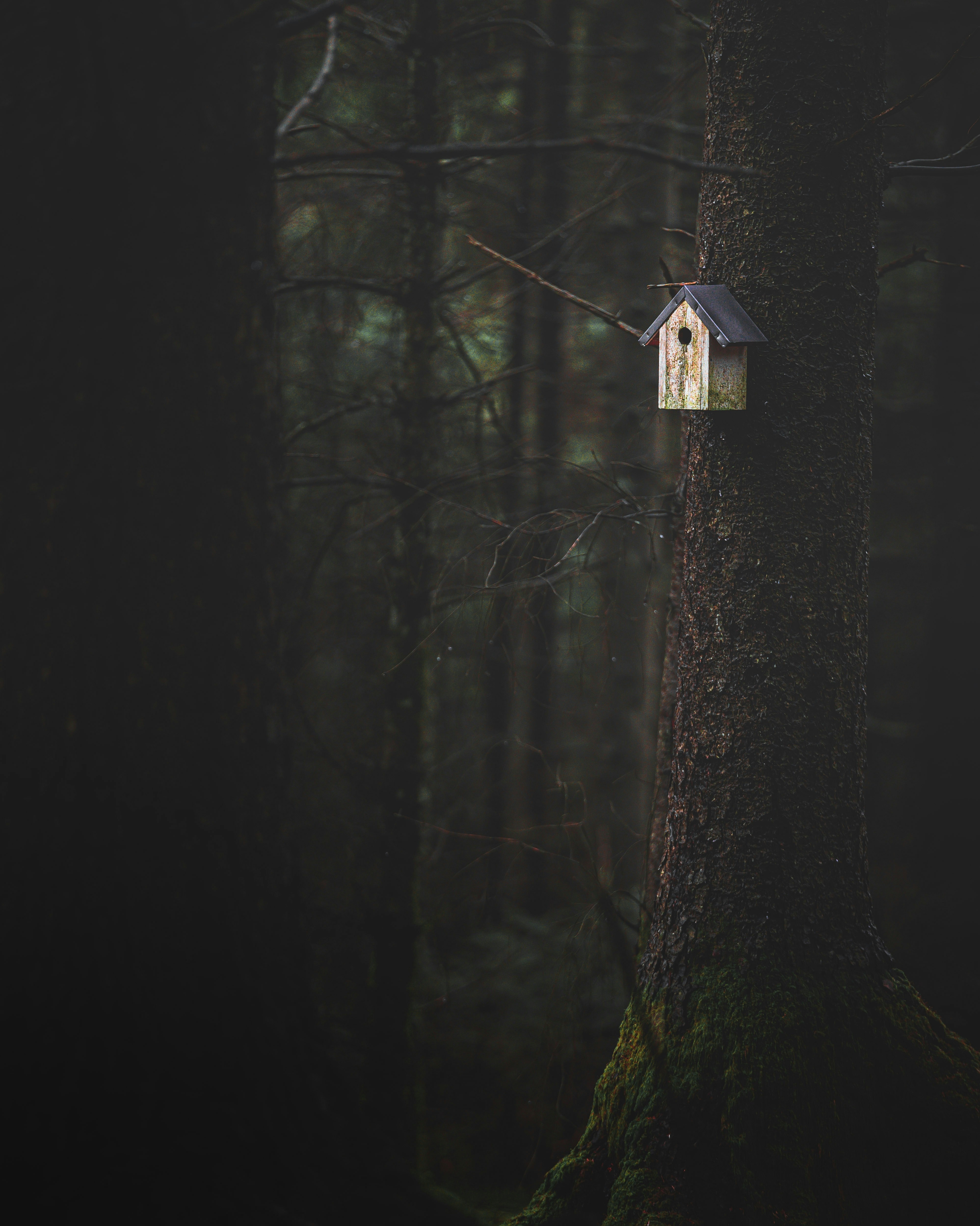 Photo by lachlangowen